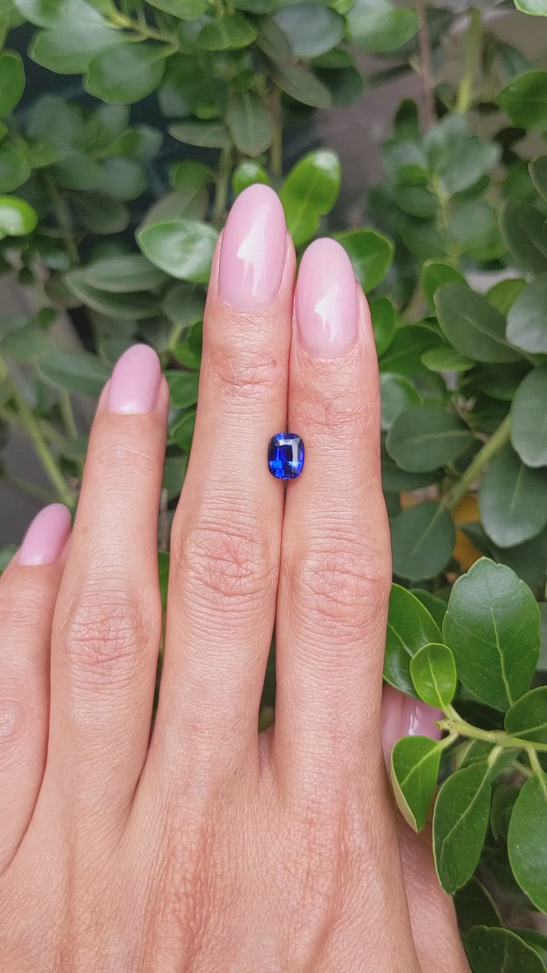 1.34 Ct. Blue Sapphire from Ceylon (Sri Lanka) Size Video