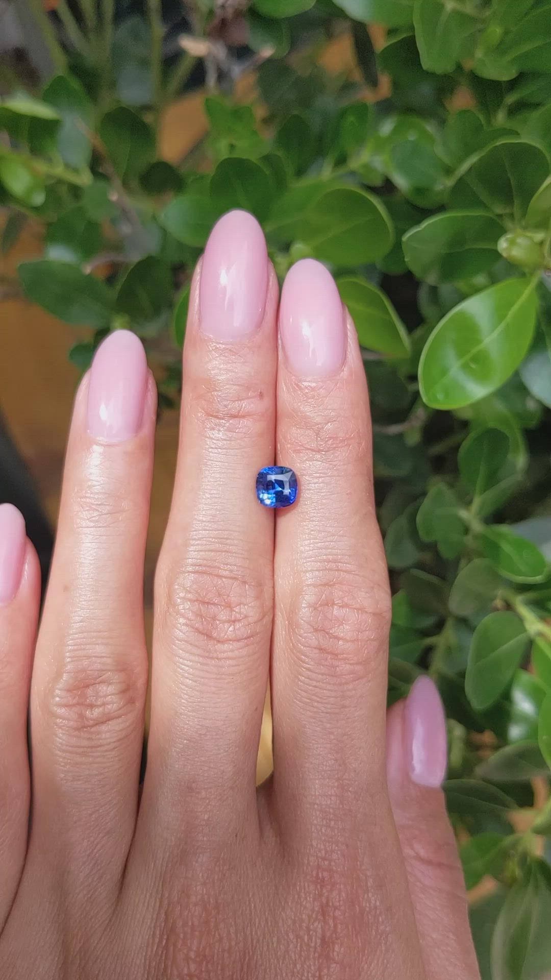1.49 Ct. Blue Sapphire from Ceylon (Sri Lanka) Size Video