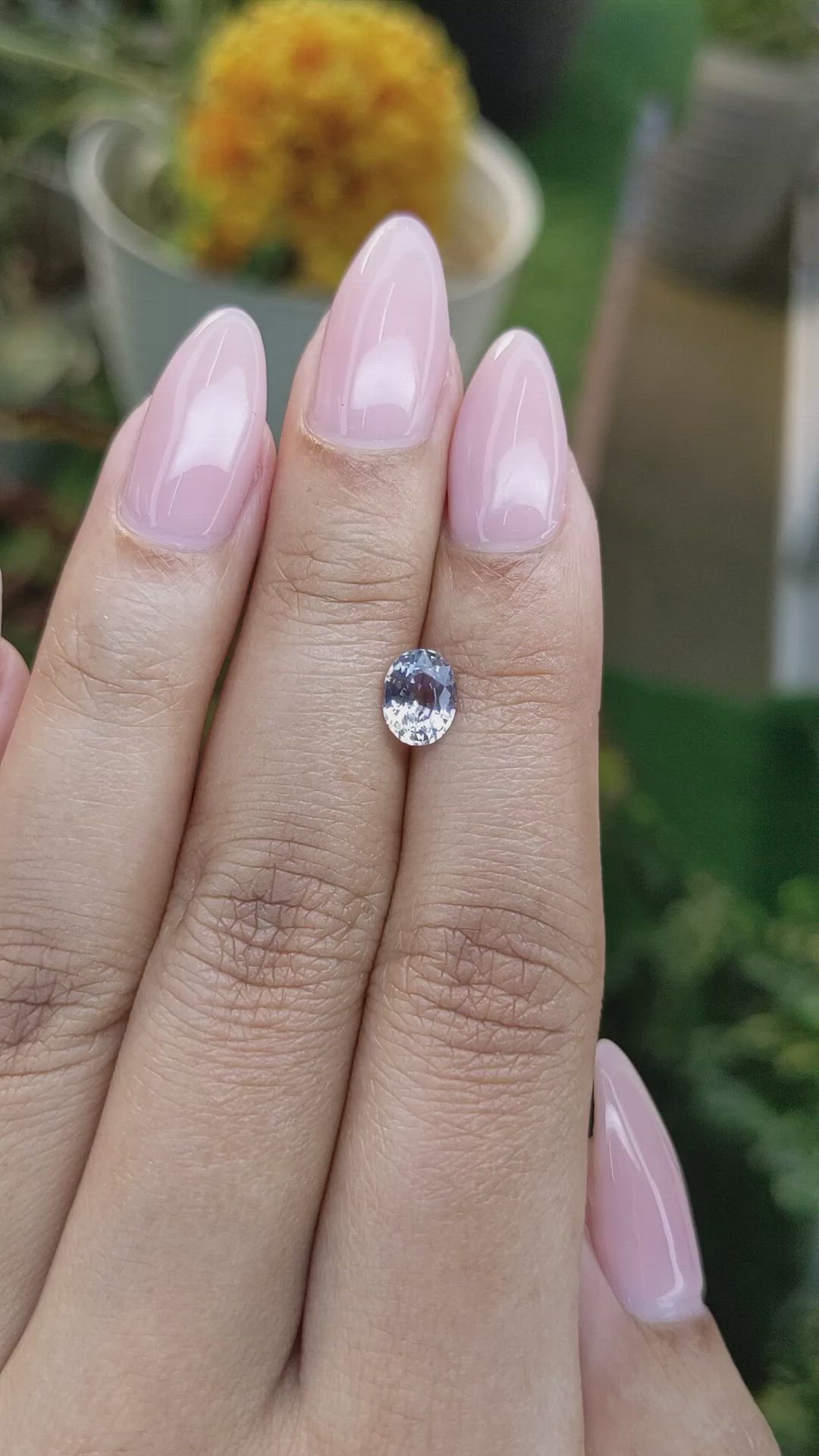 1.07 Ct. Bi Color Sapphire from Ceylon (Sri Lanka) Size Video
