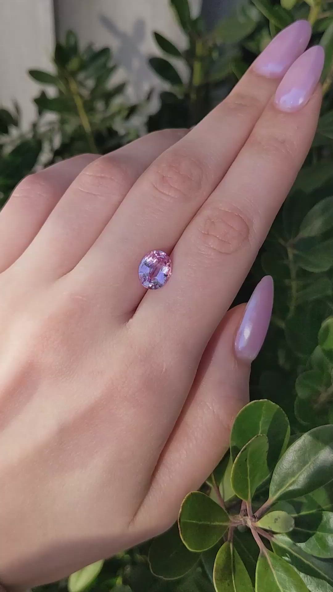 3.54 Ct. Pink Sapphire from Ceylon (Sri Lanka) Size Video