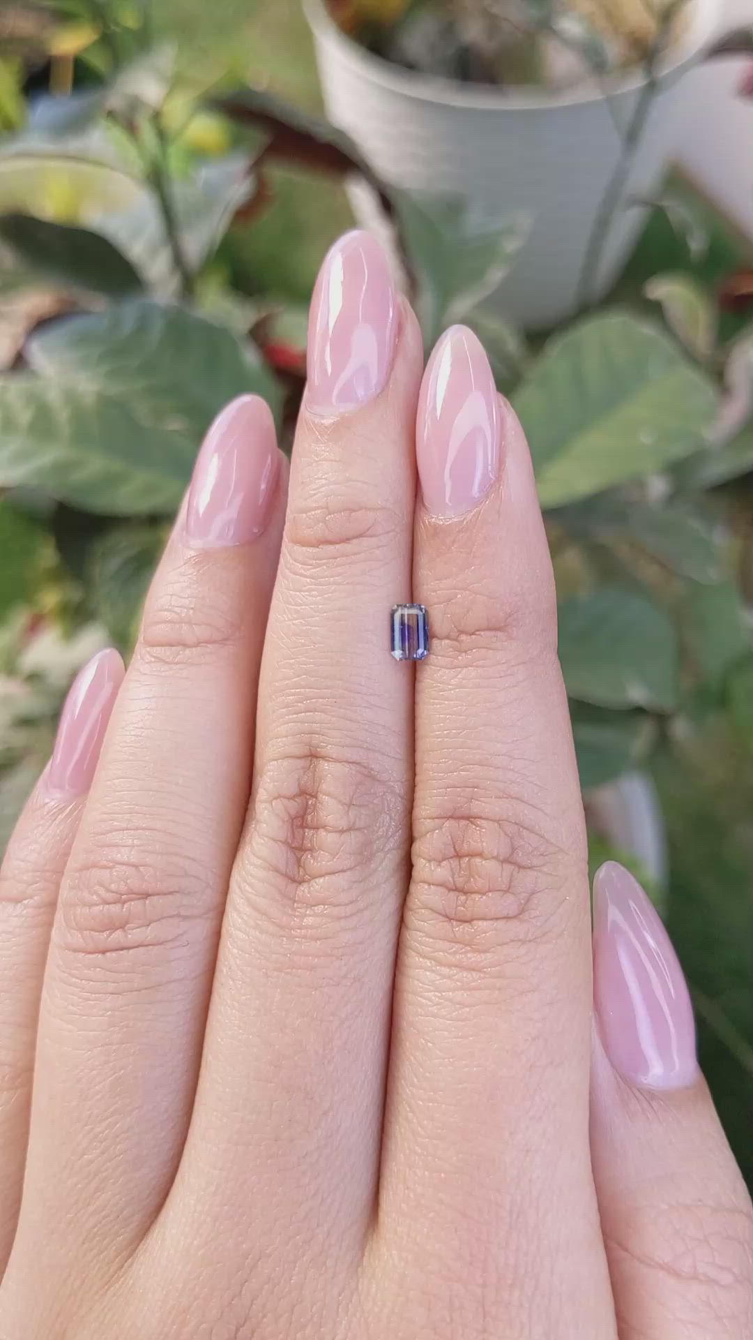 0.37 Ct. Bi Color / Parti Sapphire from Ceylon (Sri Lanka) Size Video