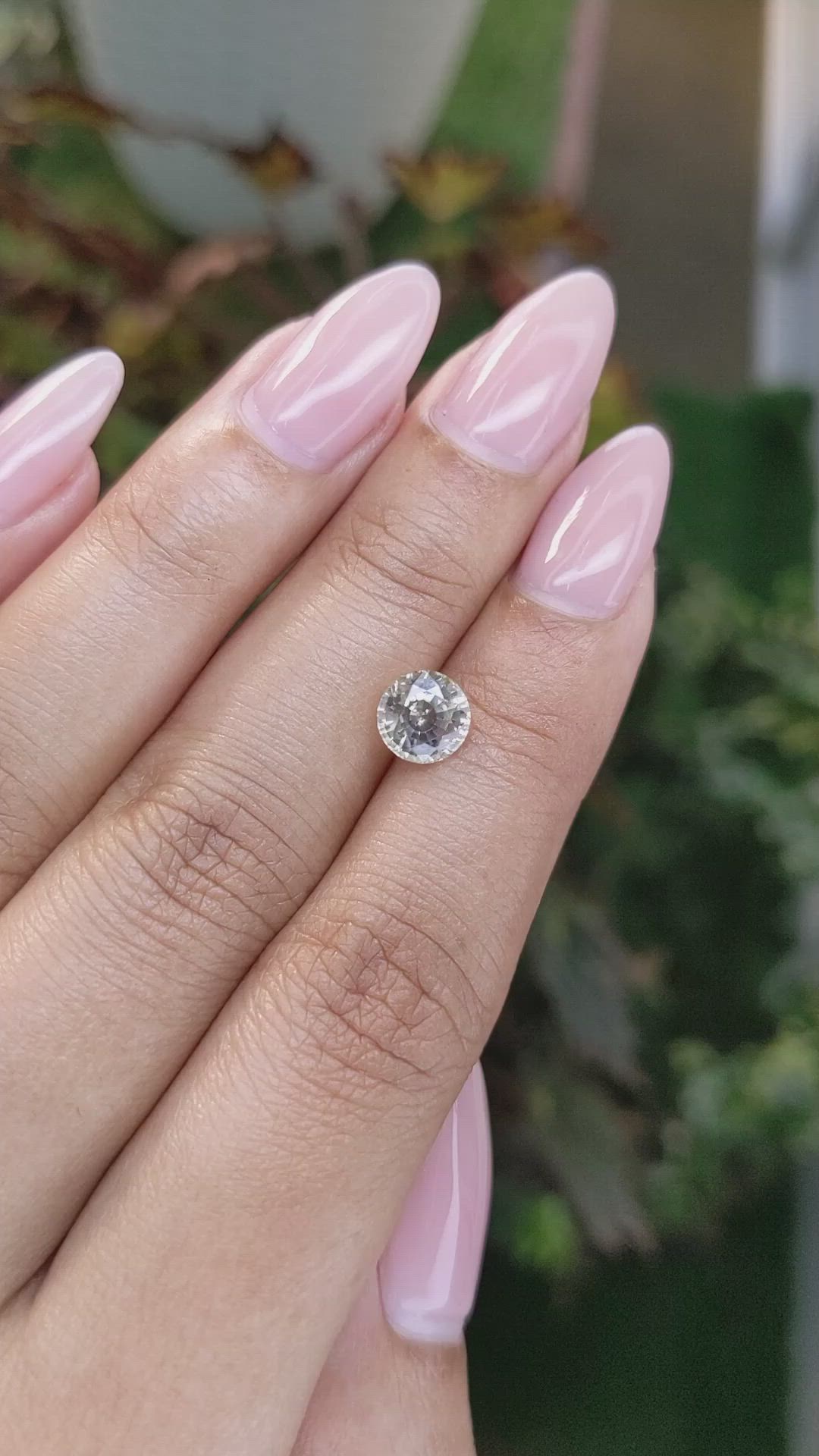 1.68 Ct. Yellow Sapphire from Ceylon (Sri Lanka) Size Video