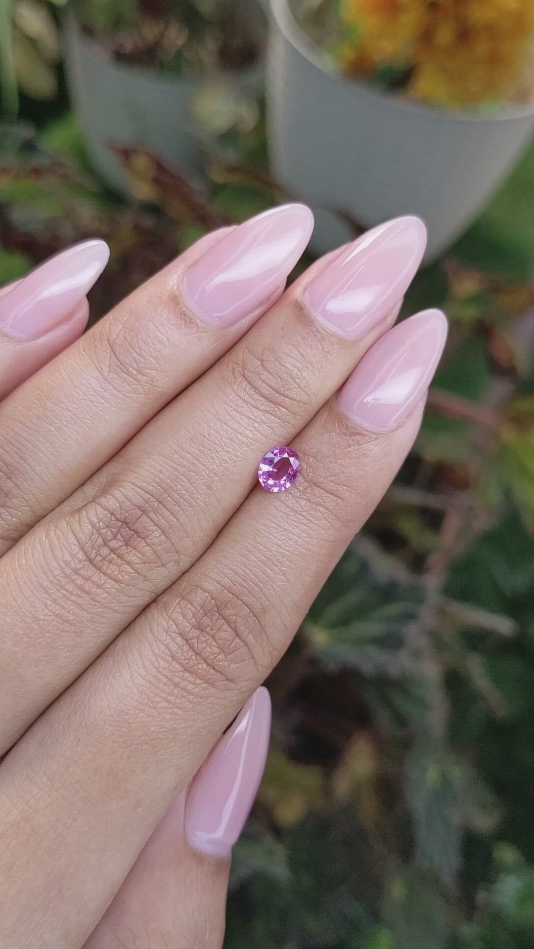 0.47 Ct. Pink Sapphire from Ceylon (Sri Lanka) Size Video