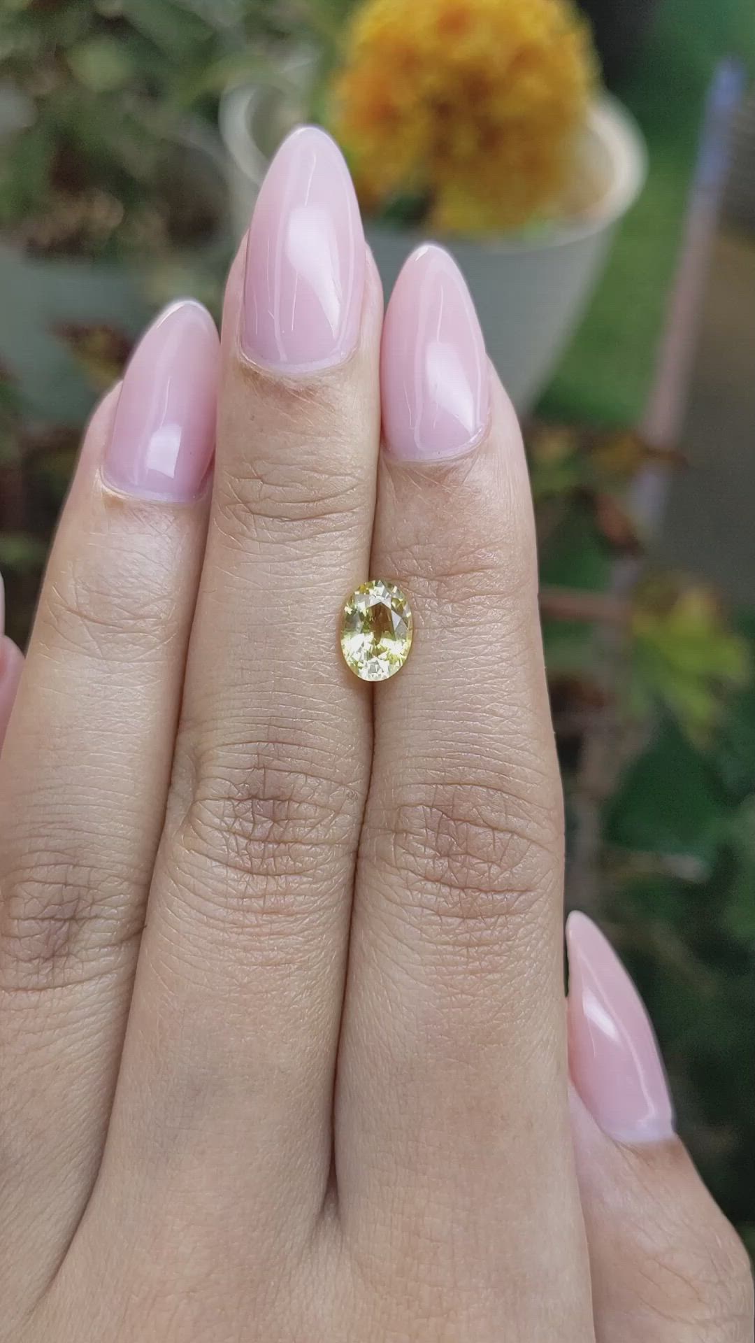 1.50 Ct. Yellow Sapphire from Ceylon (Sri Lanka) Size Video