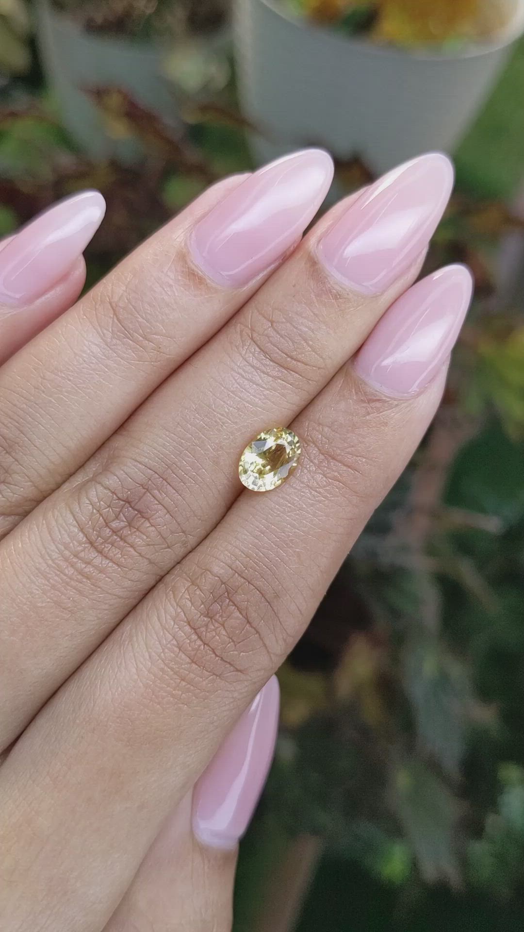 1.50 Ct. Yellow Sapphire from Ceylon (Sri Lanka) Size Video