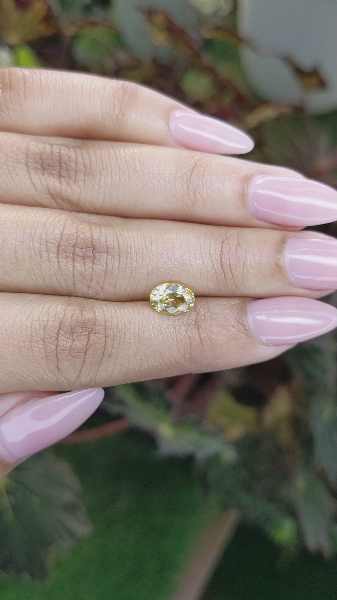 1.50 Ct. Yellow Sapphire from Ceylon (Sri Lanka) Size Video