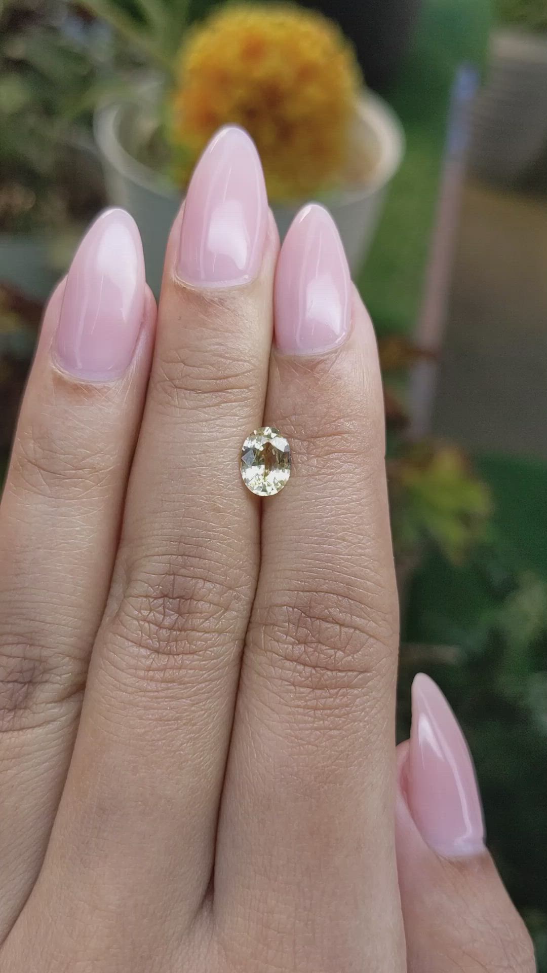 1.13 Ct. Yellow Sapphire from Ceylon (Sri Lanka) Size Video