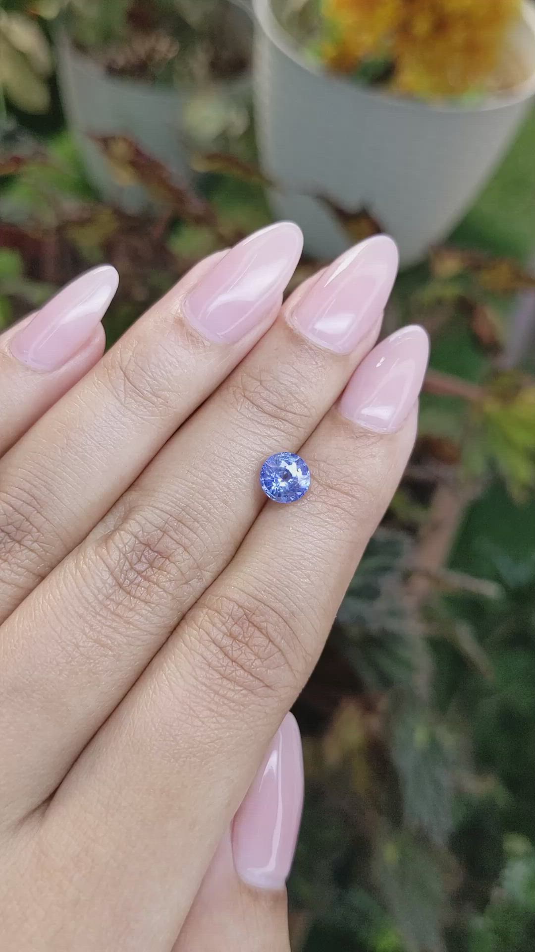 1.53 Ct. Blue Sapphire from Ceylon (Sri Lanka) Size Video