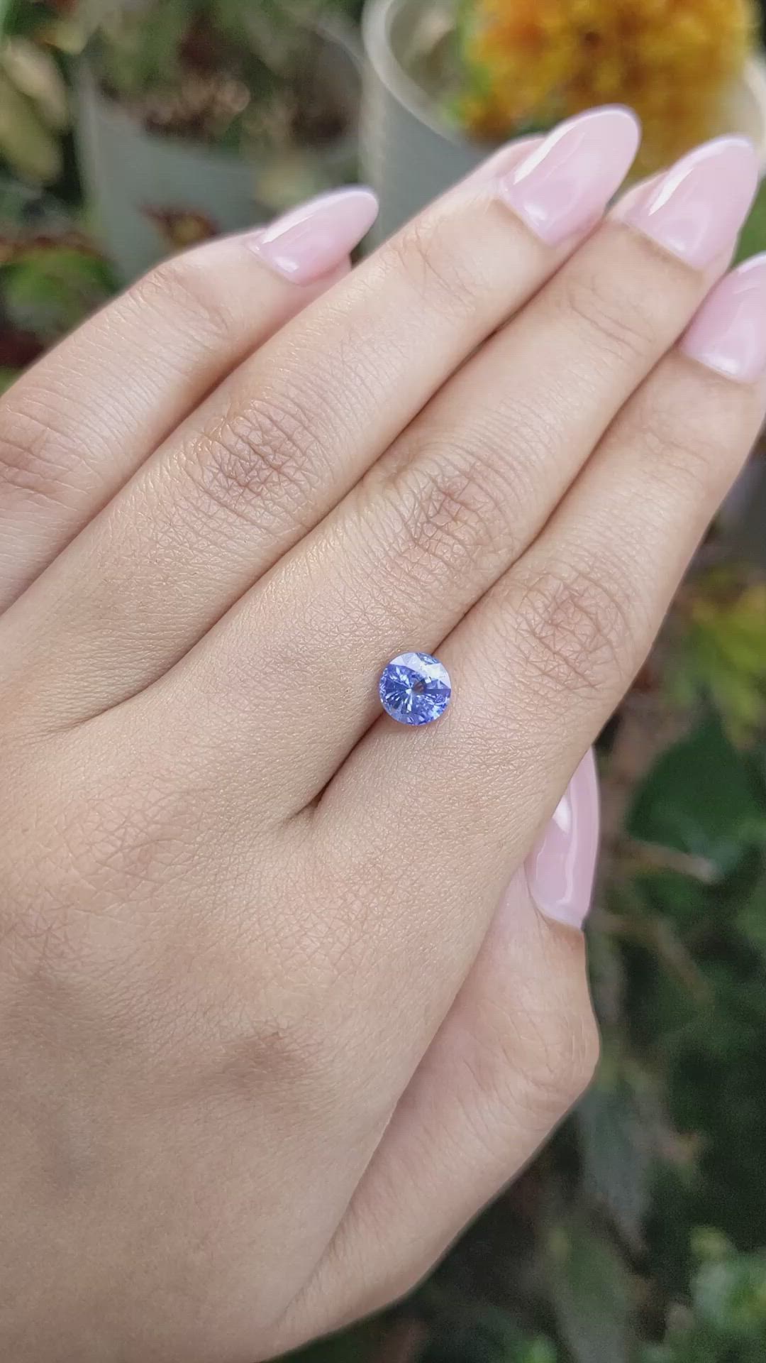 1.53 Ct. Blue Sapphire from Ceylon (Sri Lanka) Size Video