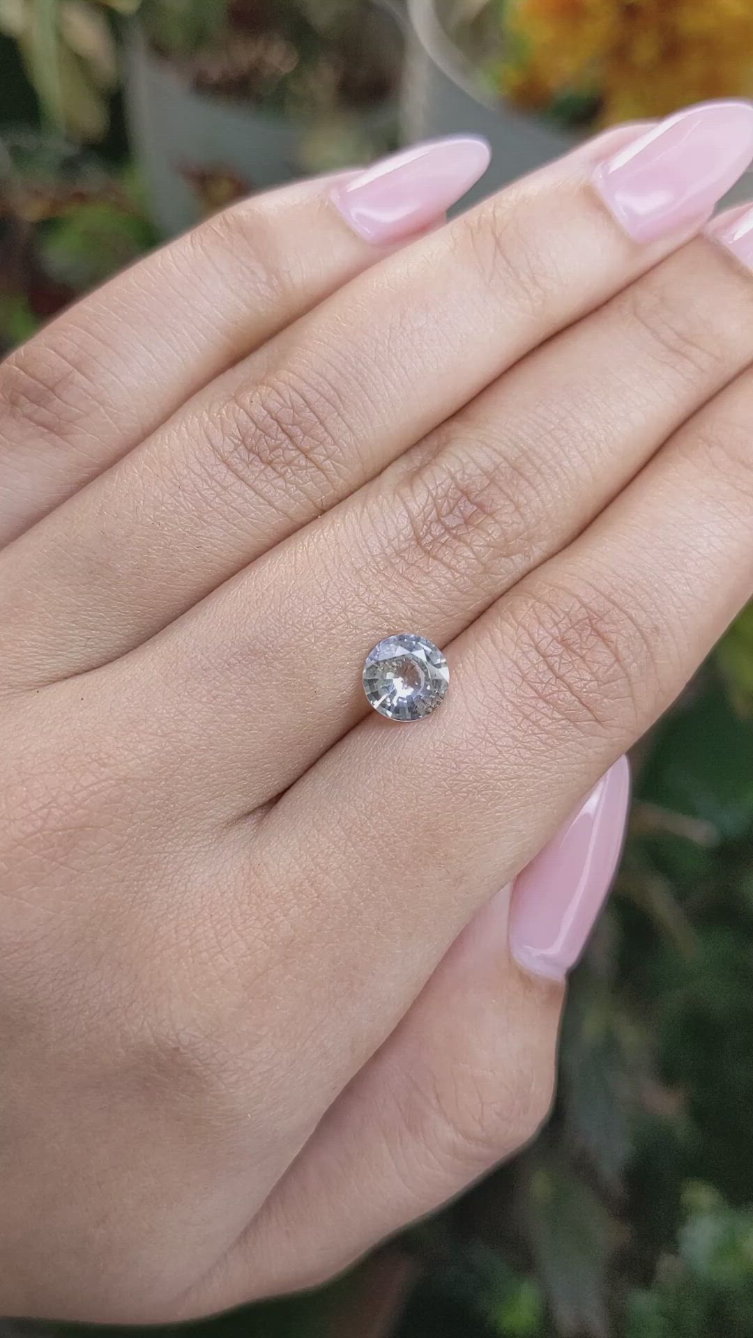 1.43 Ct. Bi Color Sapphire from Ceylon (Sri Lanka) Size Video