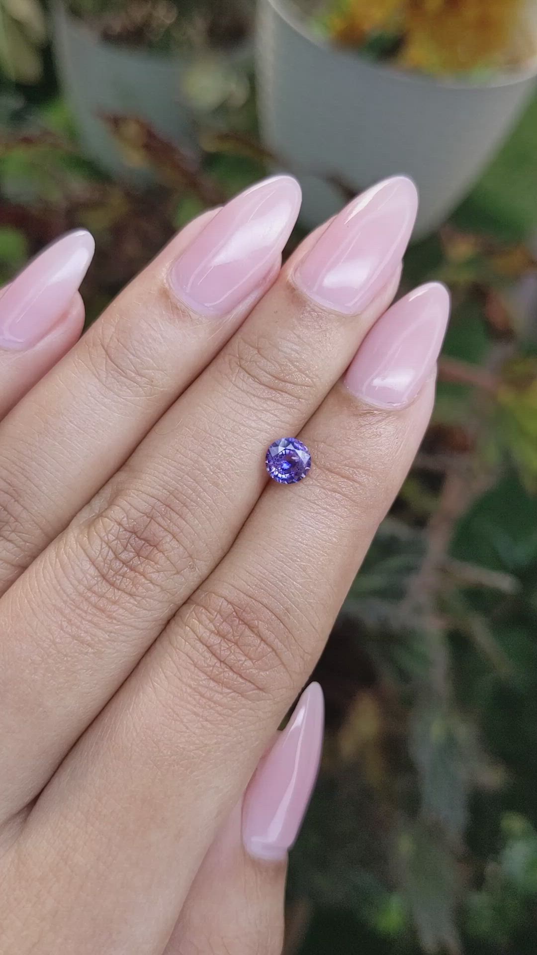 0.74 Ct. Bi Color Sapphire from Ceylon (Sri Lanka) Size Video
