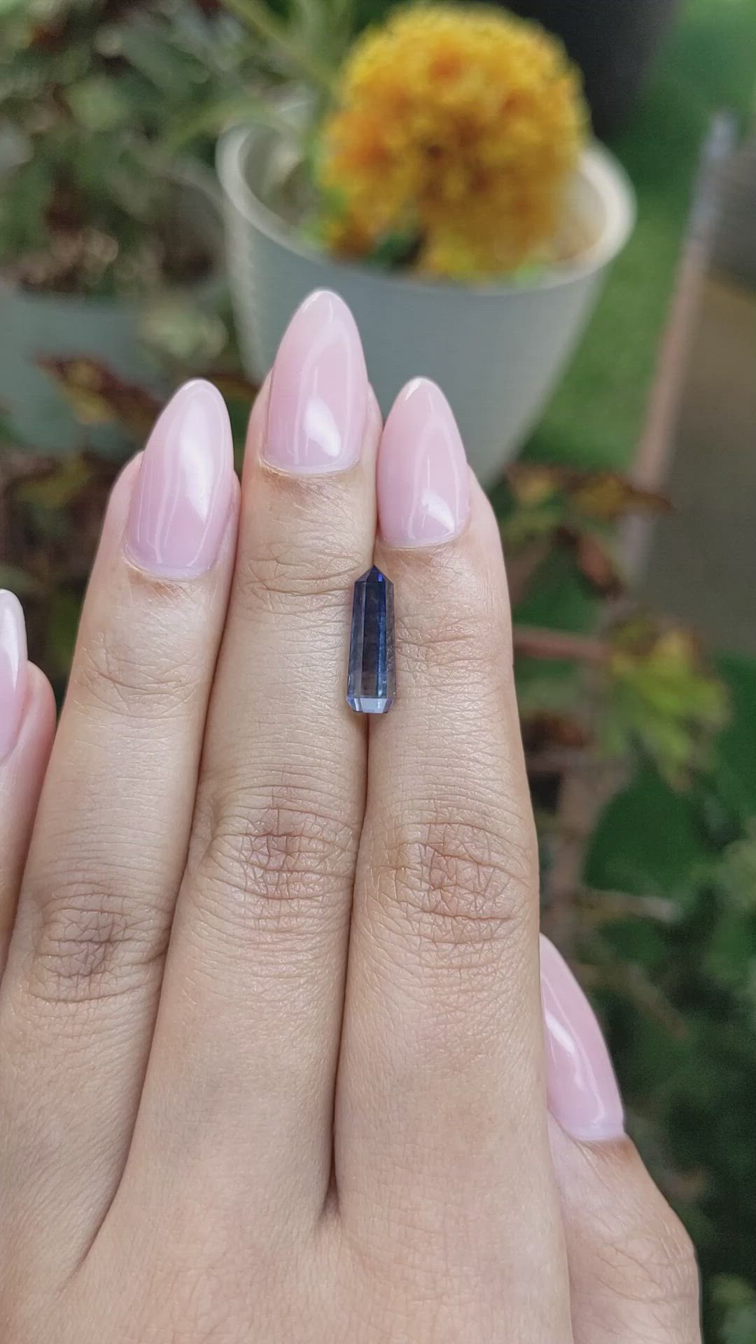 2.76 Ct. Bi Color Rough Sapphire Crystal from Ceylon (Sri Lanka) Size Video