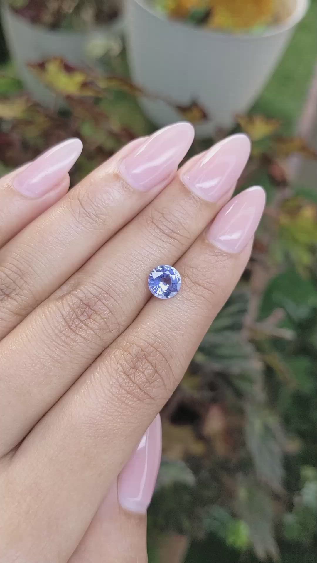 1.46 Ct. Blue Sapphire from Ceylon (Sri Lanka) Size Video