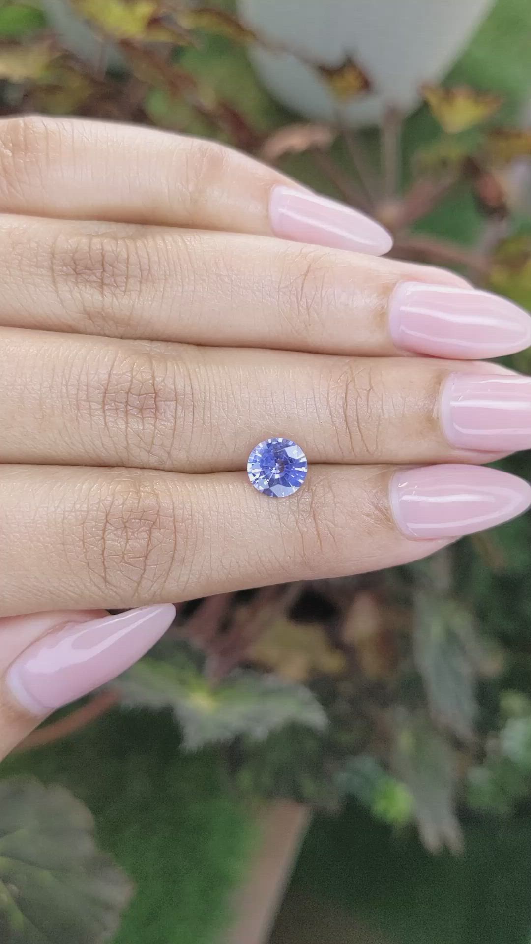 1.46 Ct. Blue Sapphire from Ceylon (Sri Lanka) Size Video