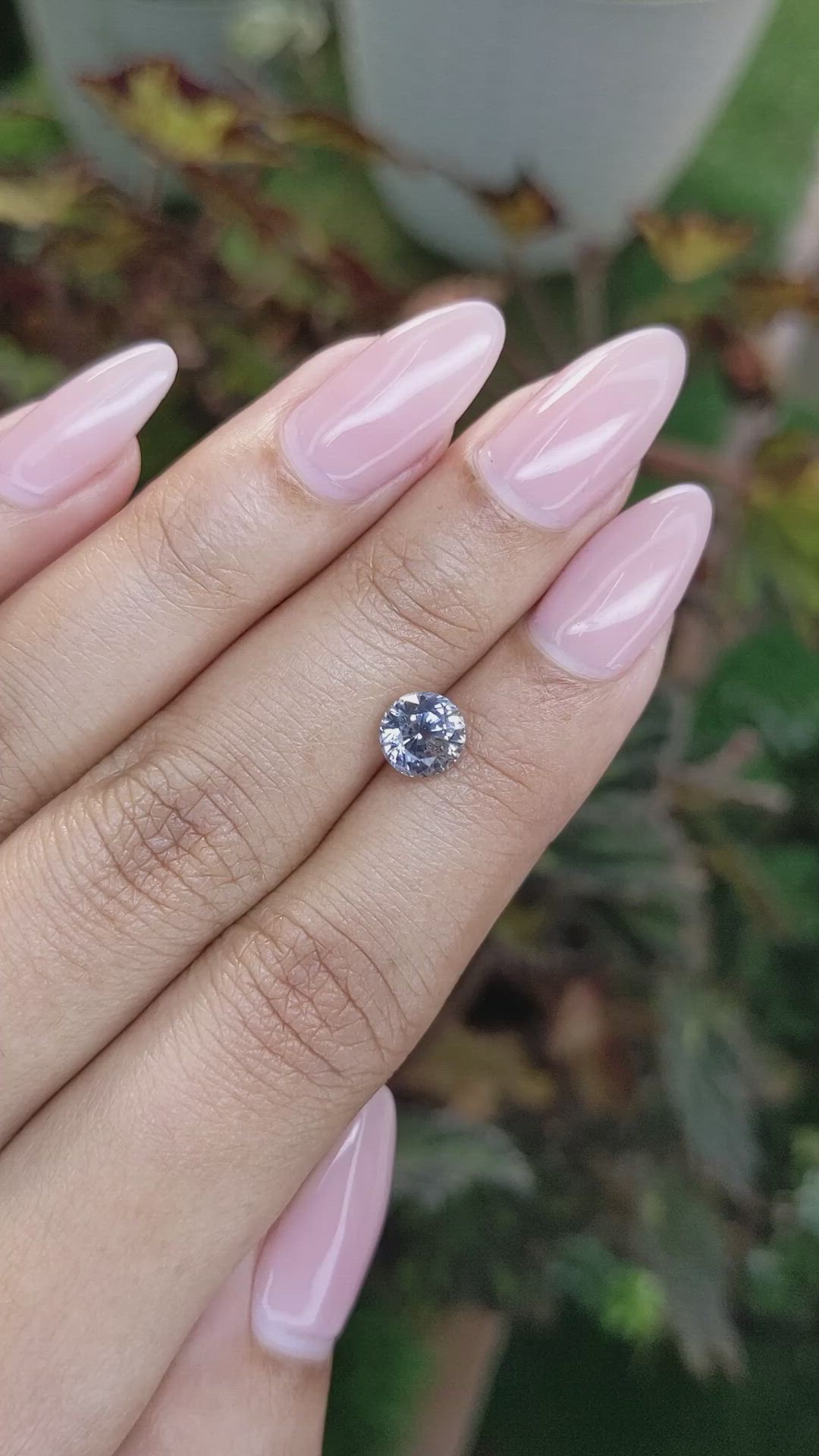 1.74 Ct. Bi Color Sapphire from Ceylon (Sri Lanka) Size Video