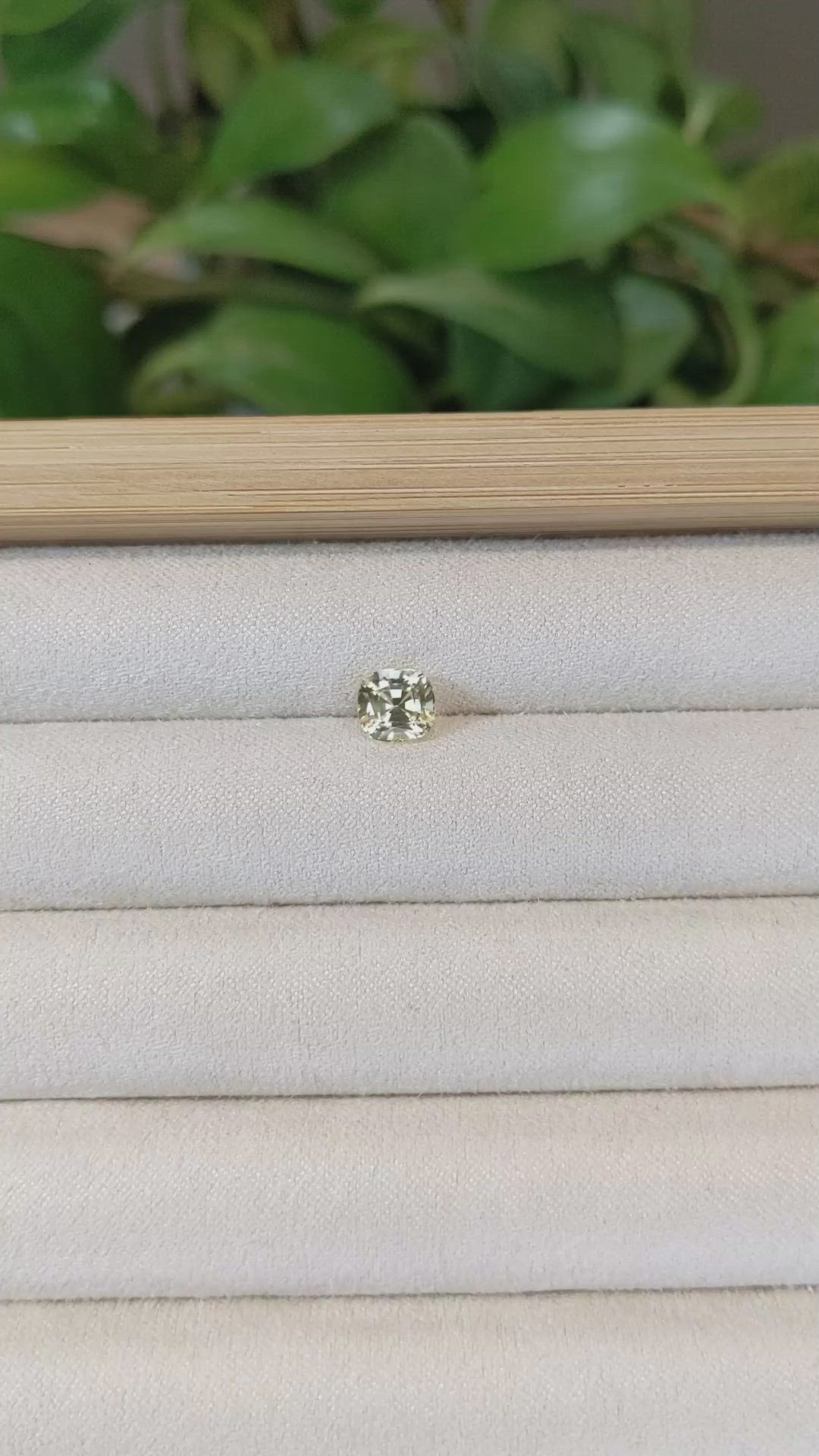 1.65 Ct. Yellow Sapphire from Ceylon (Sri Lanka) Size Video