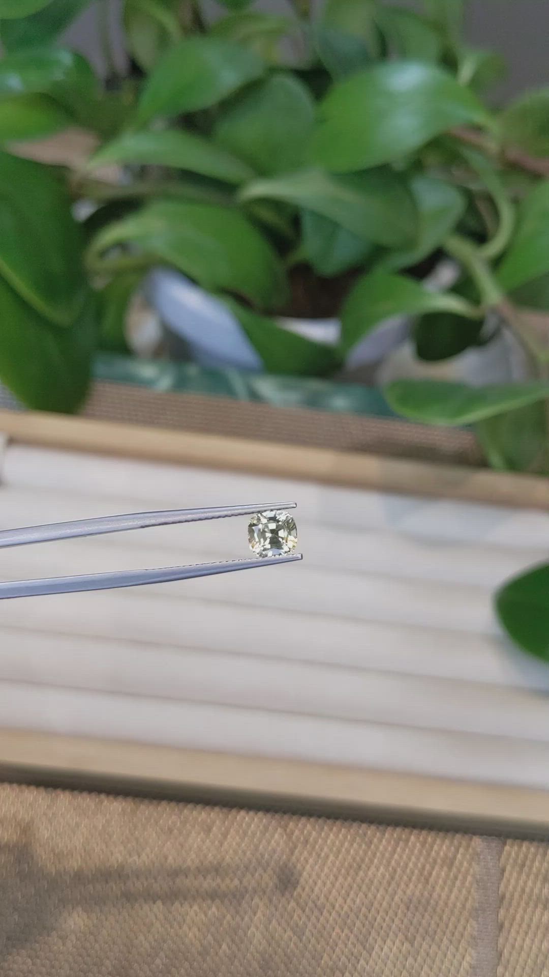 1.65 Ct. Yellow Sapphire from Ceylon (Sri Lanka) Size Video