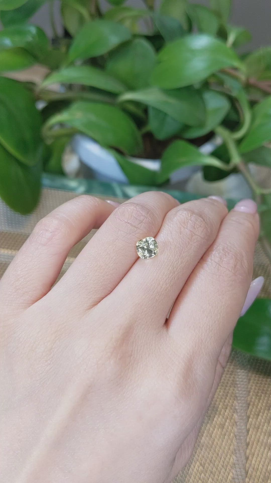 1.65 Ct. Yellow Sapphire from Ceylon (Sri Lanka) Size Video