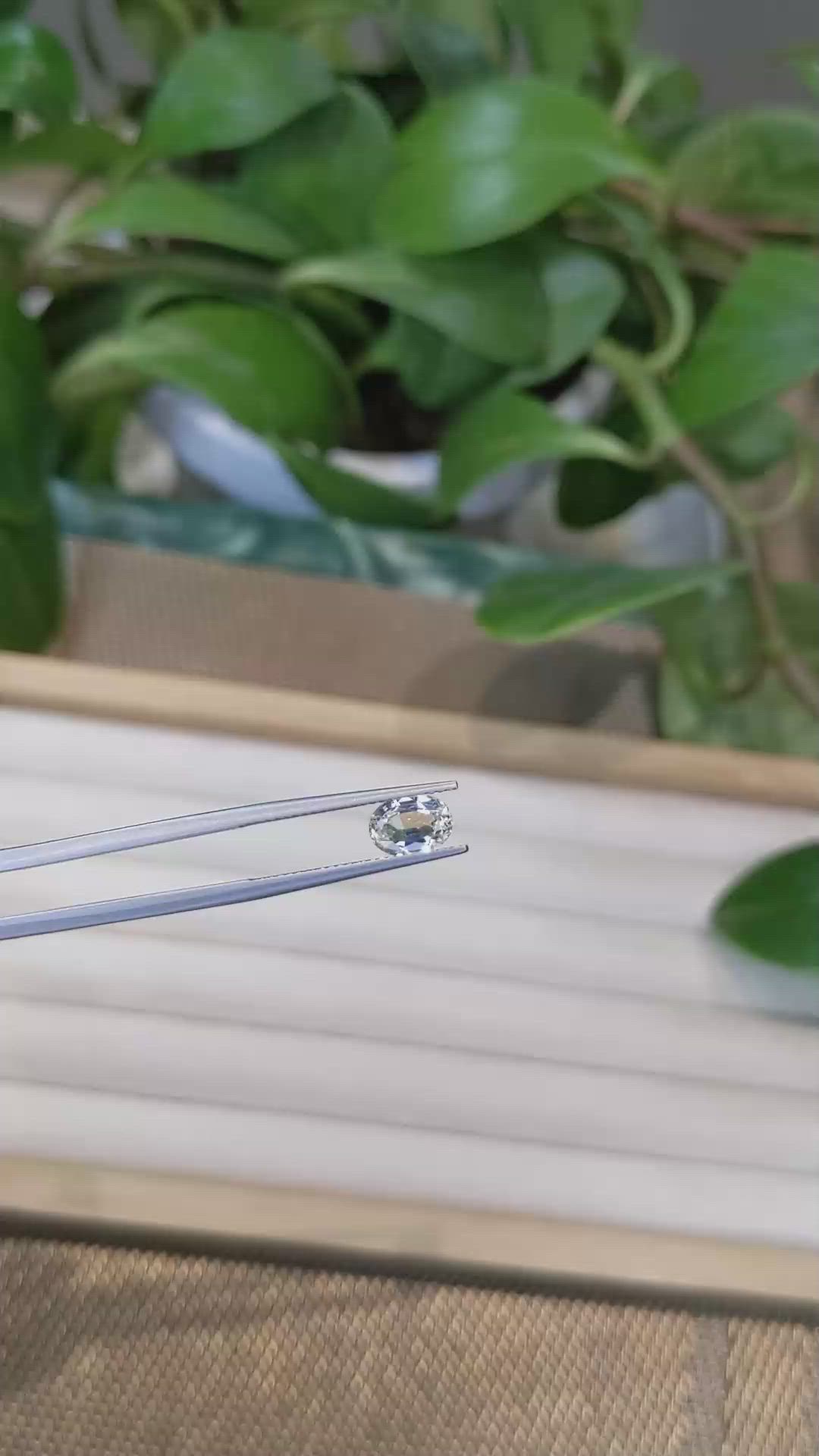 1.50 Ct. Yellow Sapphire from Ceylon (Sri Lanka) Size Video