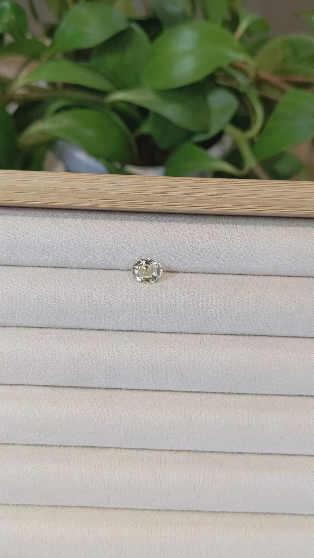 1.82 Ct. Yellow Sapphire from Ceylon (Sri Lanka) Size Video