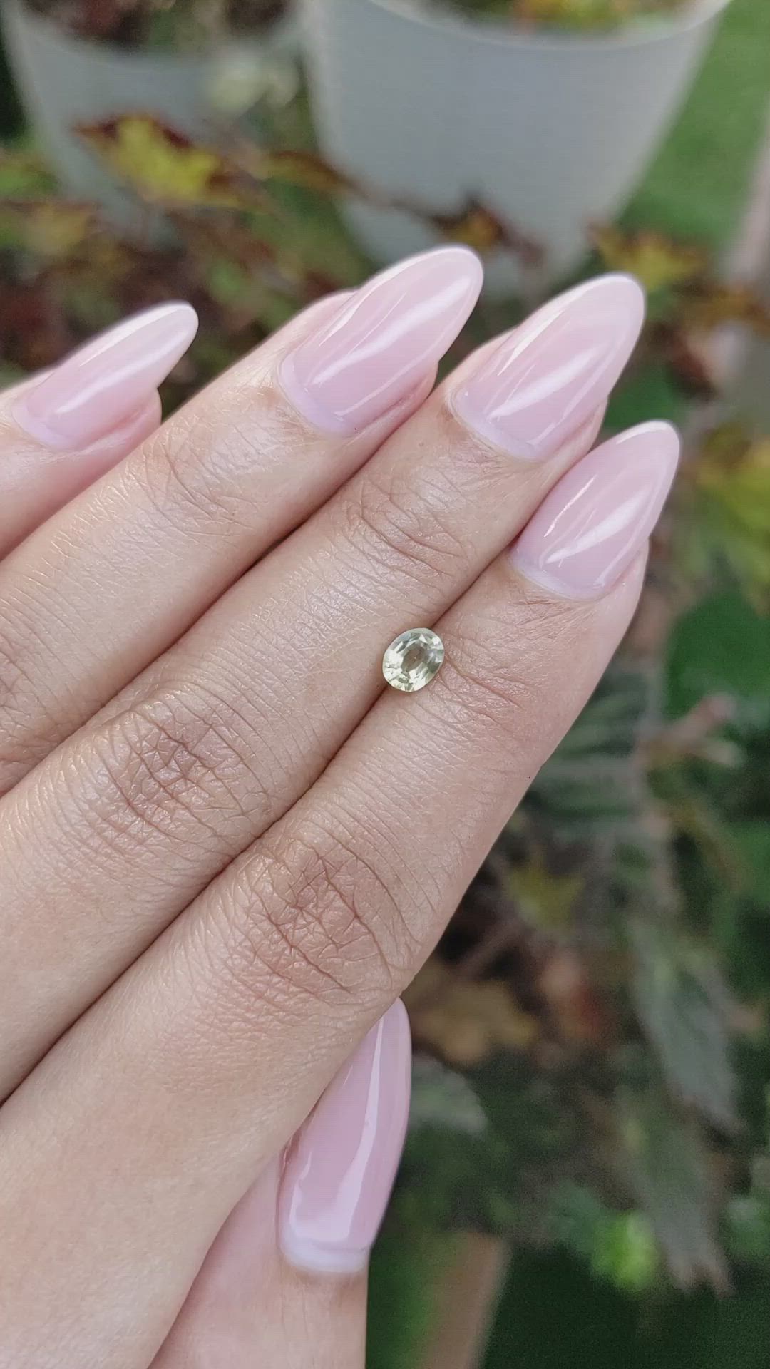 0.50 Ct. Yellow Sapphire from Ceylon (Sri Lanka) Size Video