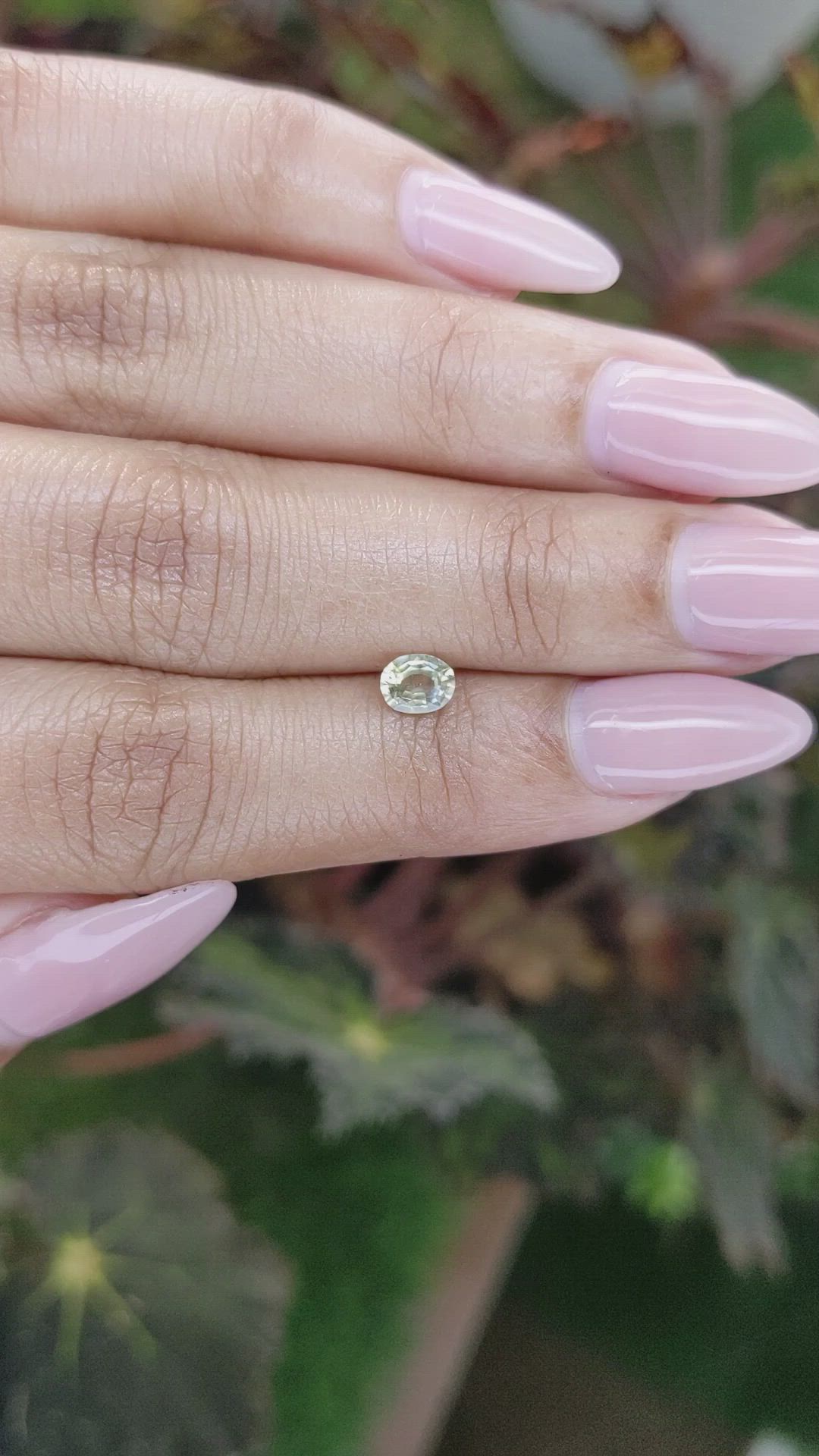 0.50 Ct. Yellow Sapphire from Ceylon (Sri Lanka) Size Video