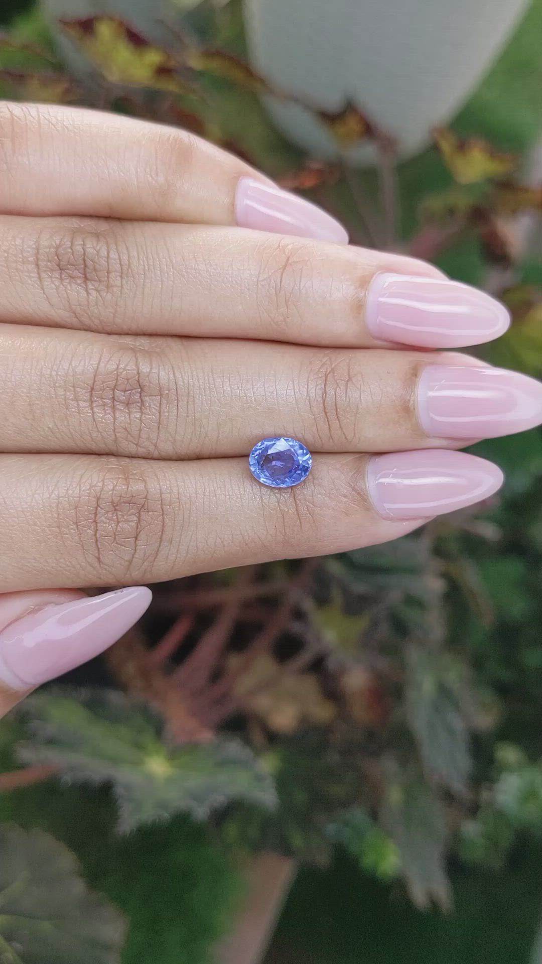 1.66 Ct. Blue Sapphire from Ceylon (Sri Lanka) Size Video