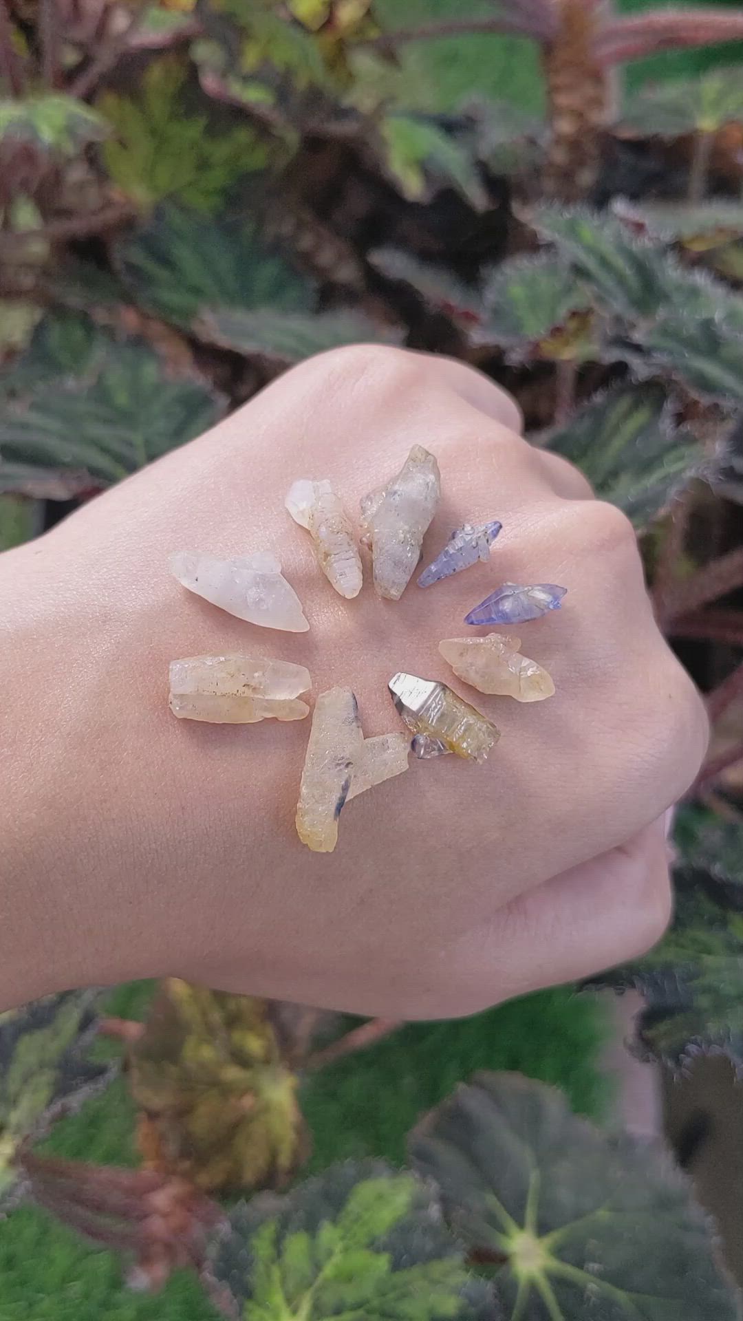 43.15 Ct. Multi Color Sapphire Crystal from Ceylon (Sri Lanka) Size Video