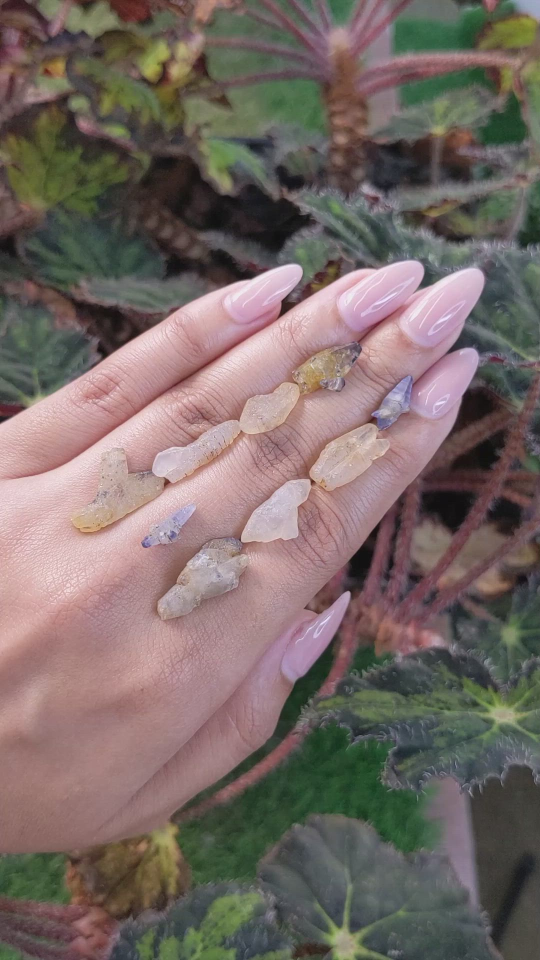 43.15 Ct. Multi Color Sapphire Crystal from Ceylon (Sri Lanka) Size Video