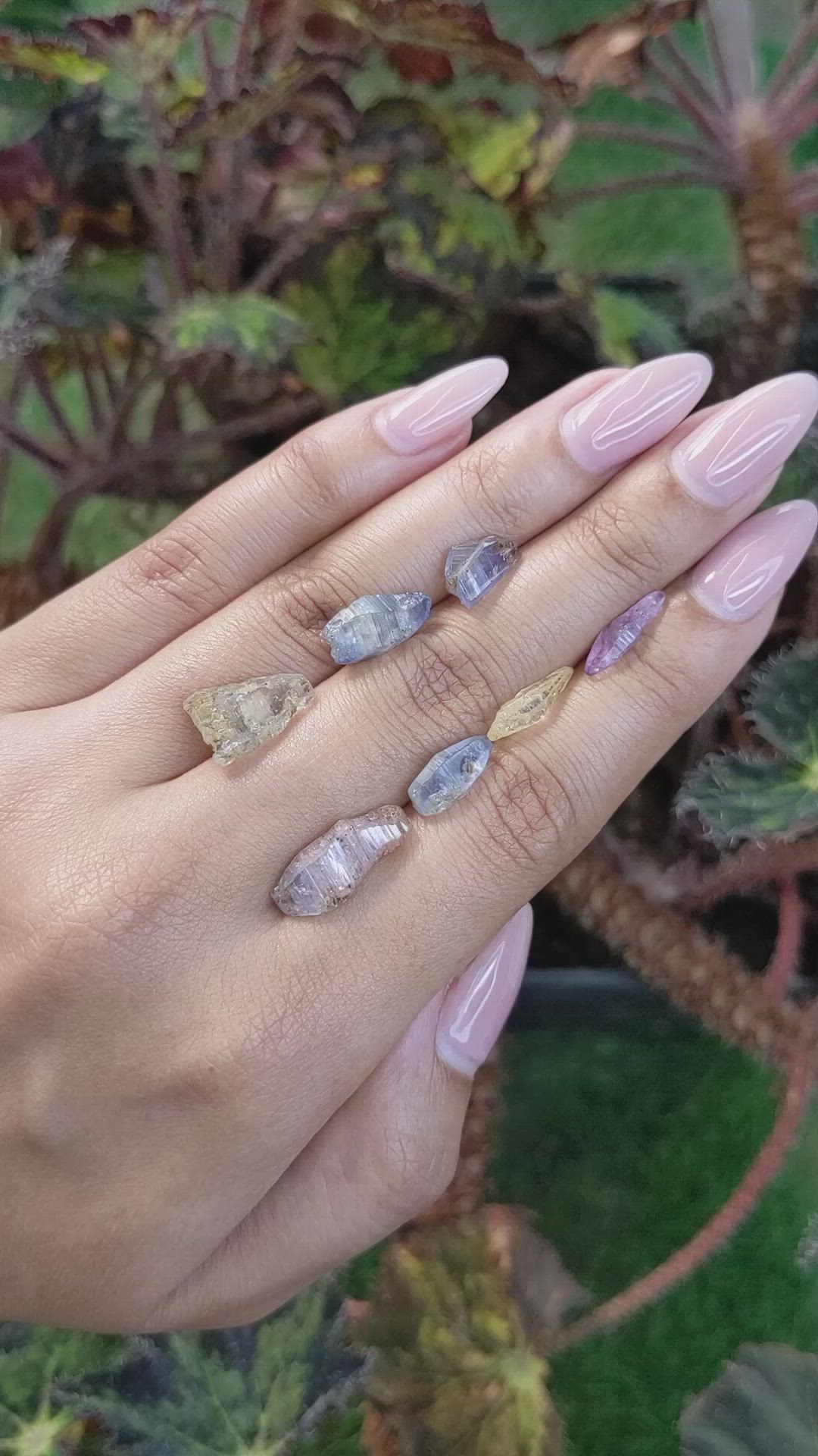 26.14 Ct. Multi Color Sapphire Crystal from Ceylon (Sri Lanka) Size Video