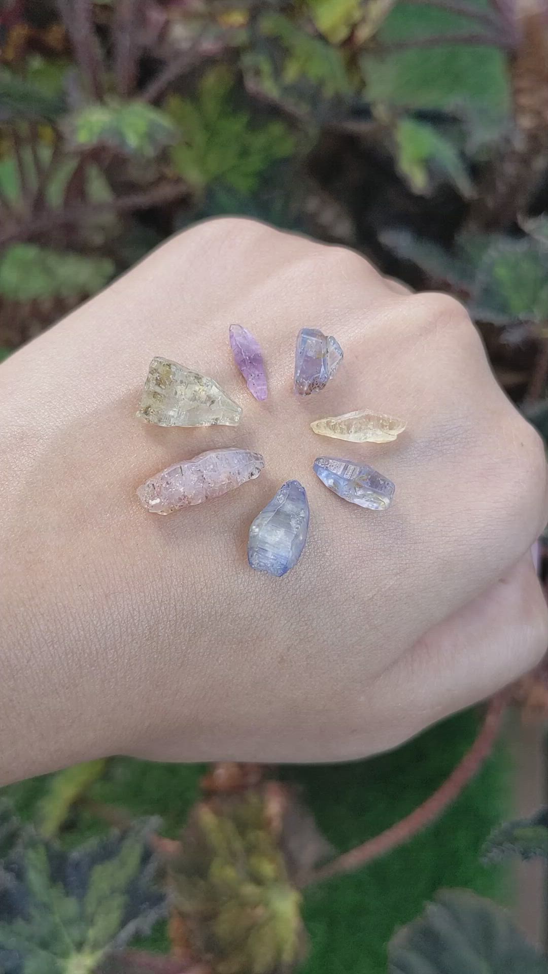 26.14 Ct. Multi Color Sapphire Crystal from Ceylon (Sri Lanka) Size Video