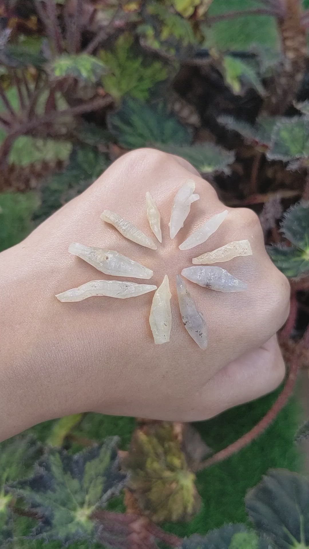 48.44 Ct. Multi Color Sapphire Crystal from Ceylon (Sri Lanka) Size Video