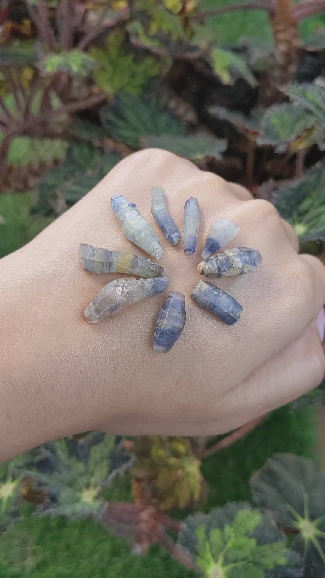 66.95 Ct. Multi Color Sapphire Crystal from Ceylon (Sri Lanka) Size Video