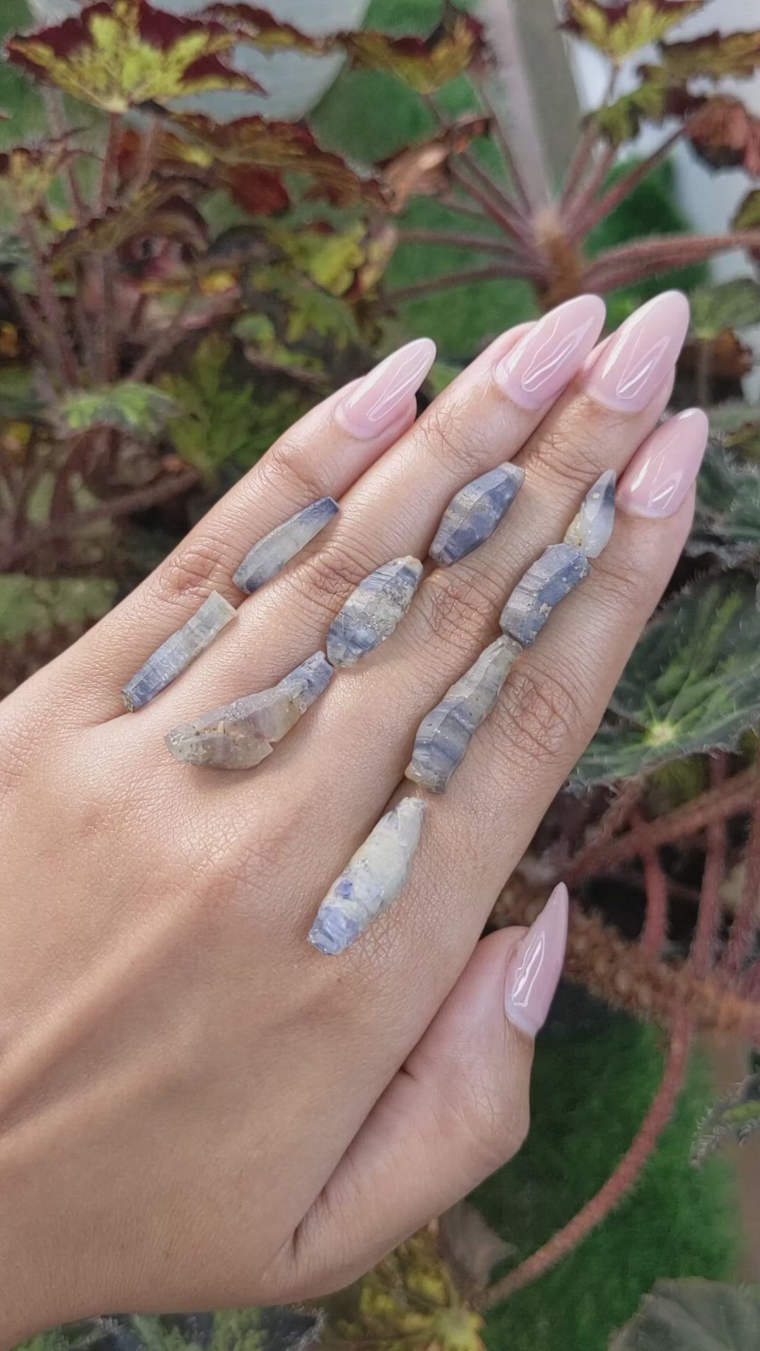 66.95 Ct. Multi Color Sapphire Crystal from Ceylon (Sri Lanka) Size Video