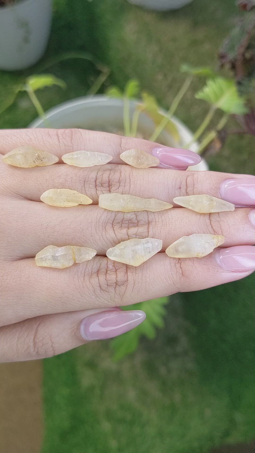 49.24 Ct. Yellow Sapphire Crystal from Ceylon (Sri Lanka) Size Video