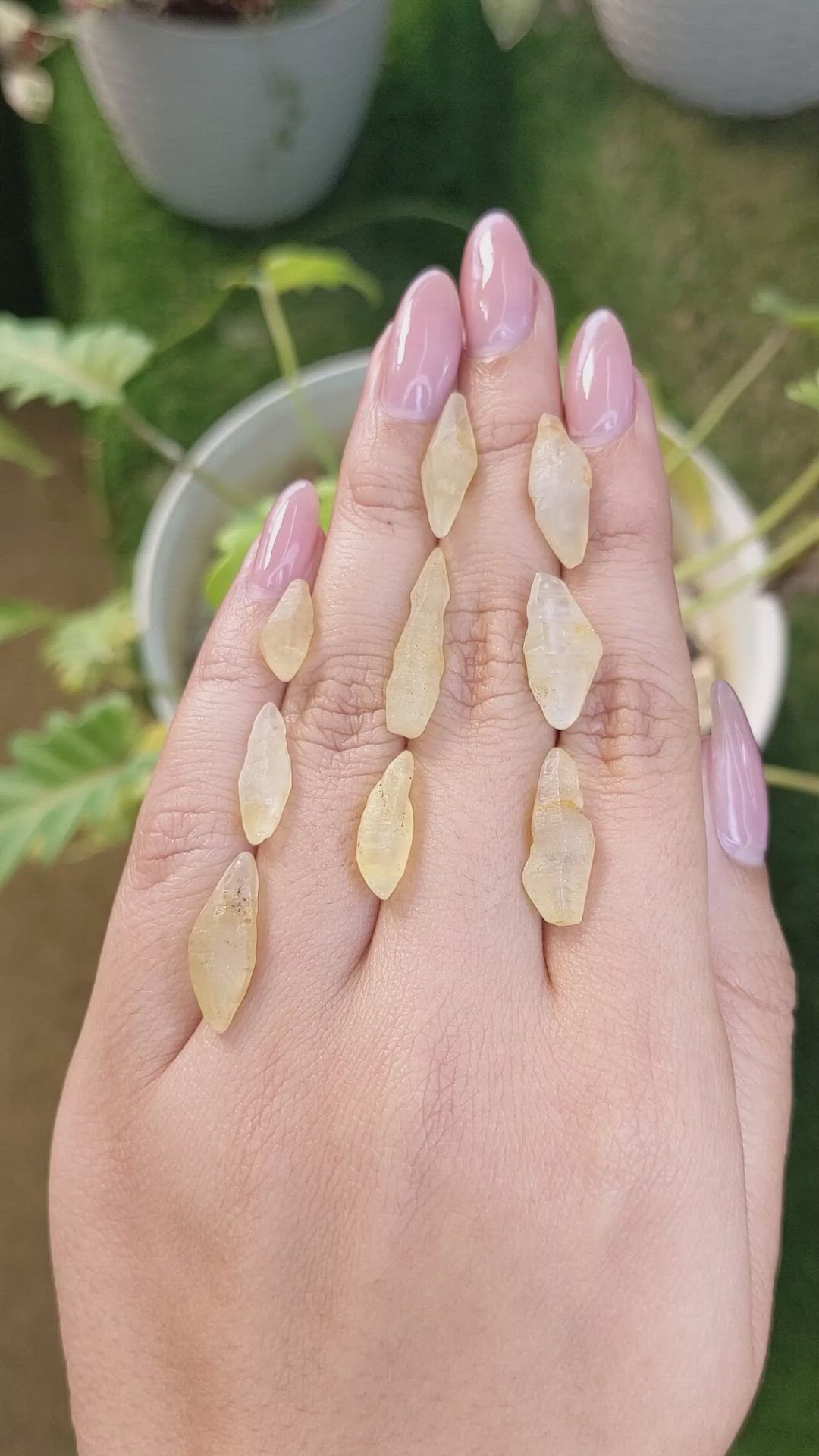 49.24 Ct. Yellow Sapphire Crystal from Ceylon (Sri Lanka) Size Video