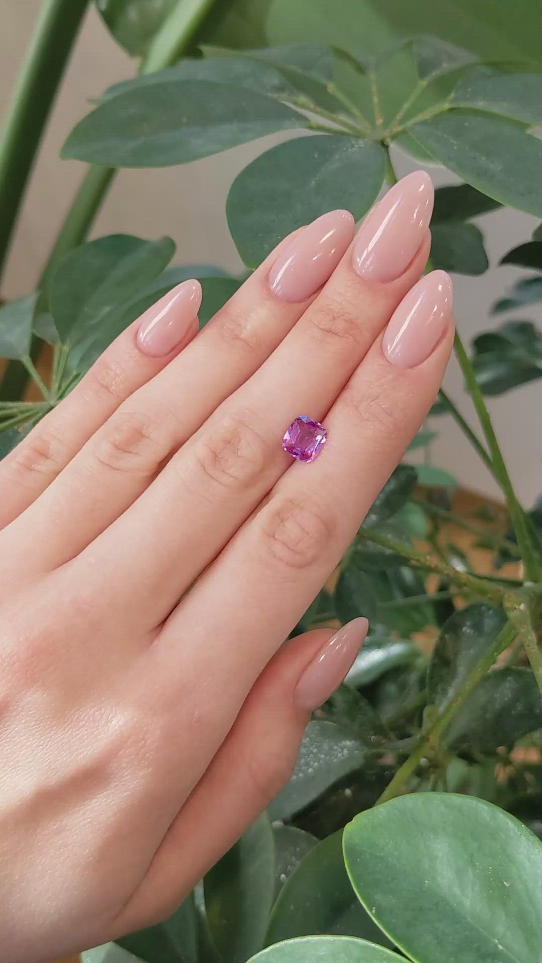 2.10 Ct. Pink Sapphire from Ceylon (Sri Lanka) Size Video