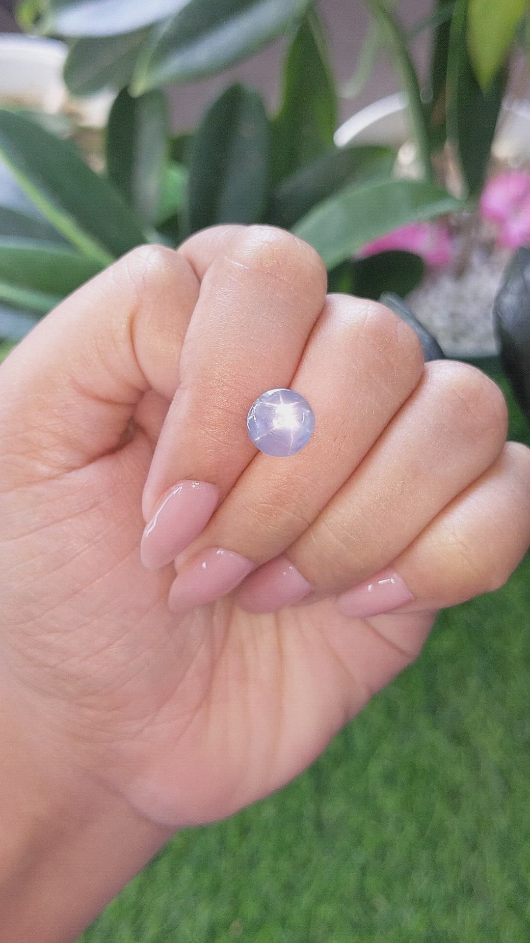 3.54 Ct. Bluish Purple Star Sapphire from Ceylon (Sri Lanka) Size Video
