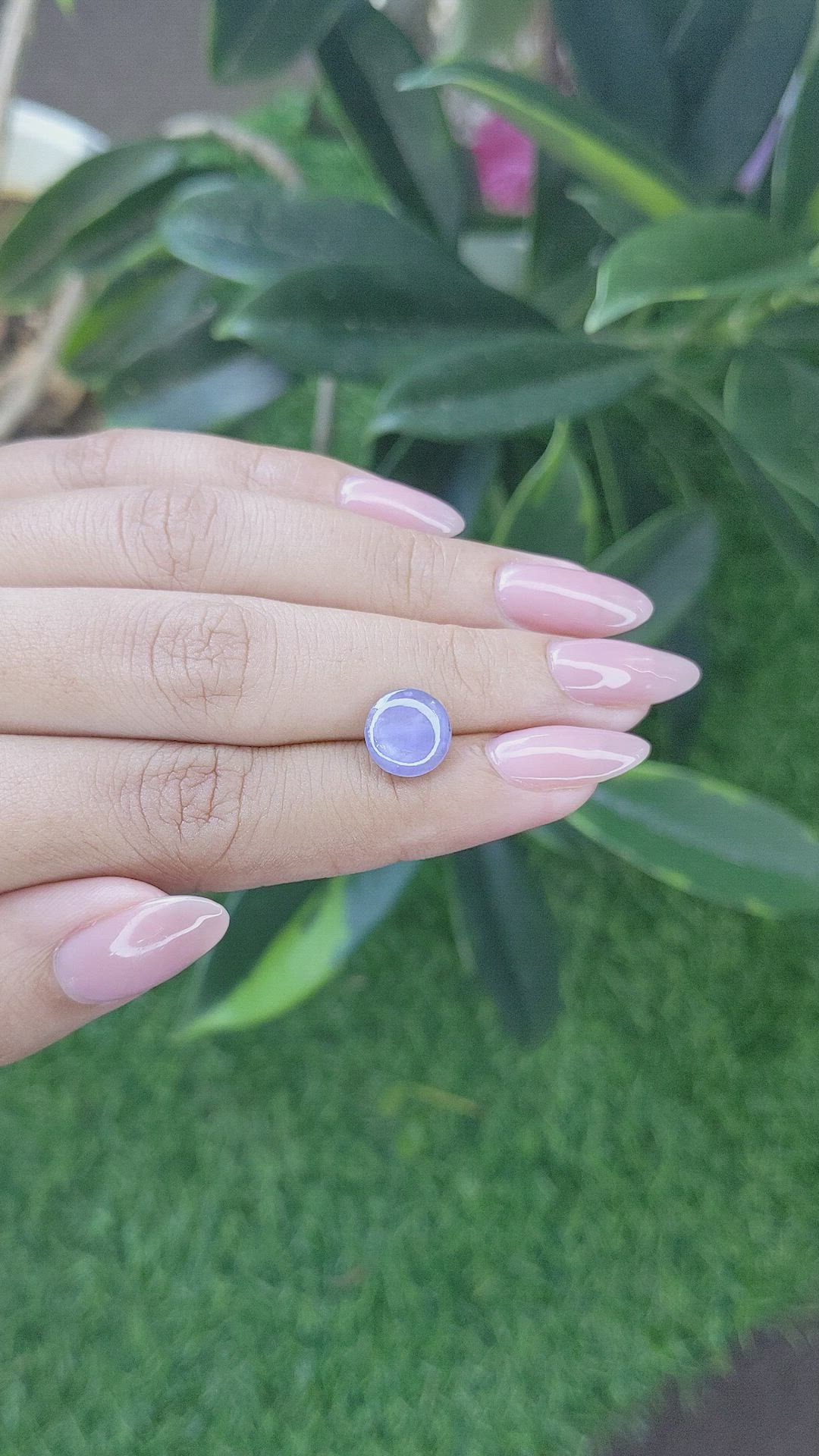 3.54 Ct. Bluish Purple Star Sapphire from Ceylon (Sri Lanka) Size Video