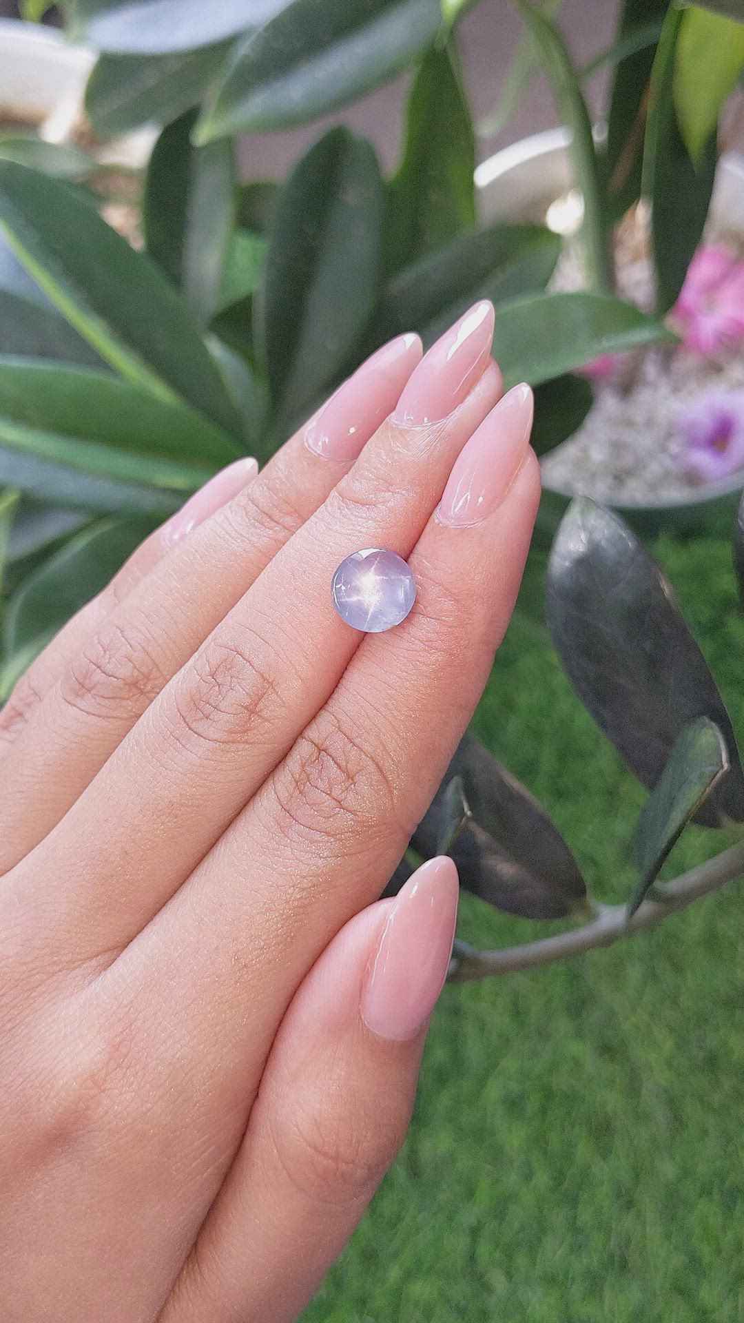 3.54 Ct. Bluish Purple Star Sapphire from Ceylon (Sri Lanka) Size Video