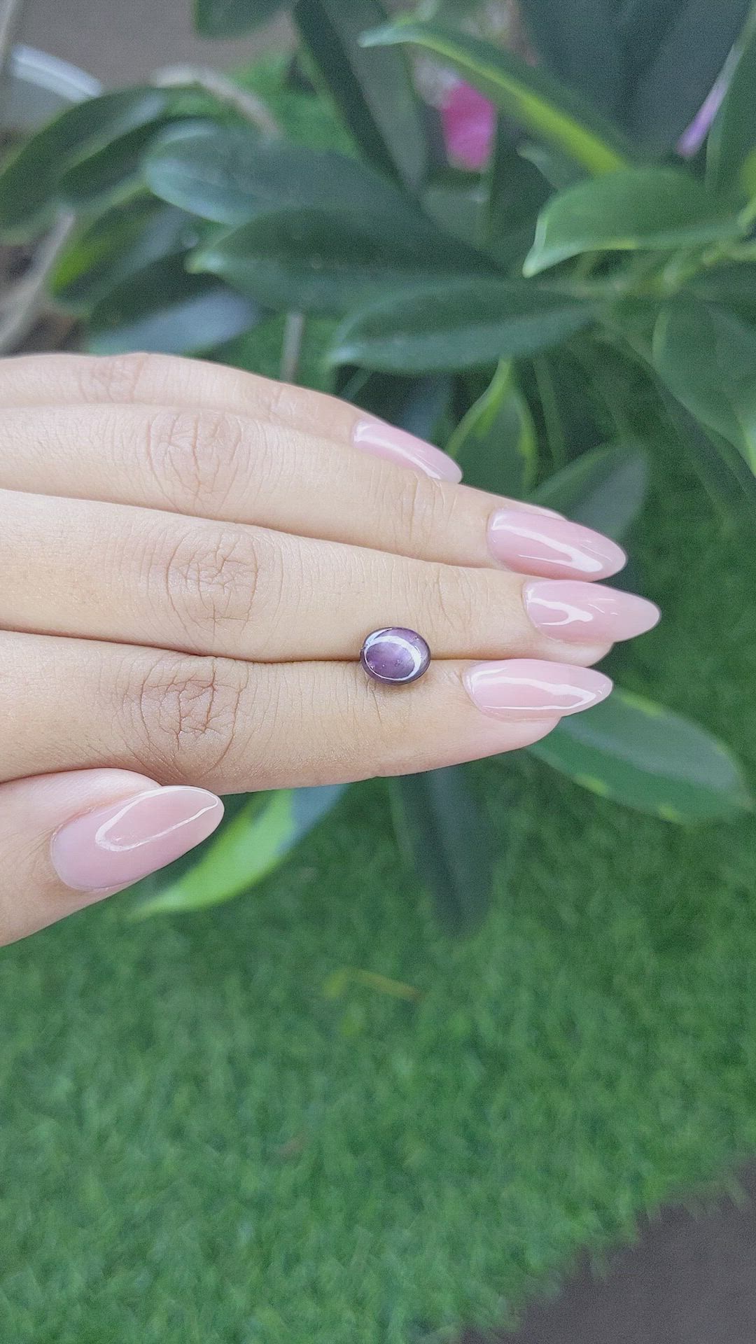 2.41 Ct. Purplish Pink Star Sapphire from Ceylon (Sri Lanka) Size Video