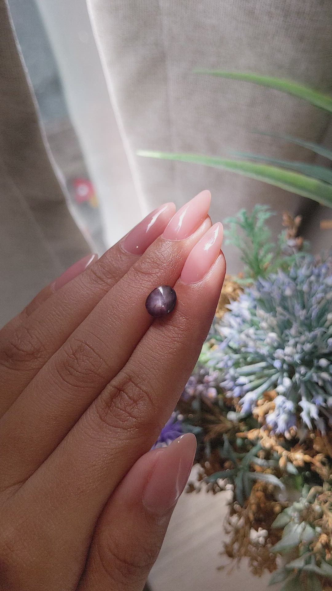 2.41 Ct. Purplish Pink Star Sapphire from Ceylon (Sri Lanka) Size Video