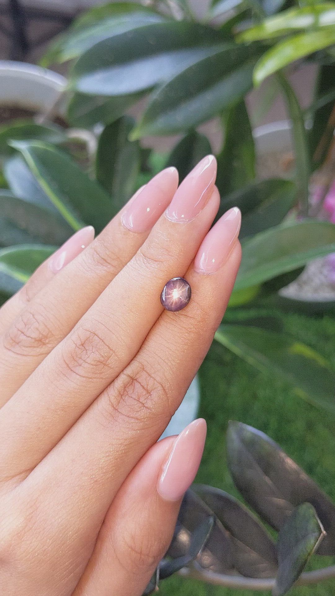 2.41 Ct. Purplish Pink Star Sapphire from Ceylon (Sri Lanka) Size Video