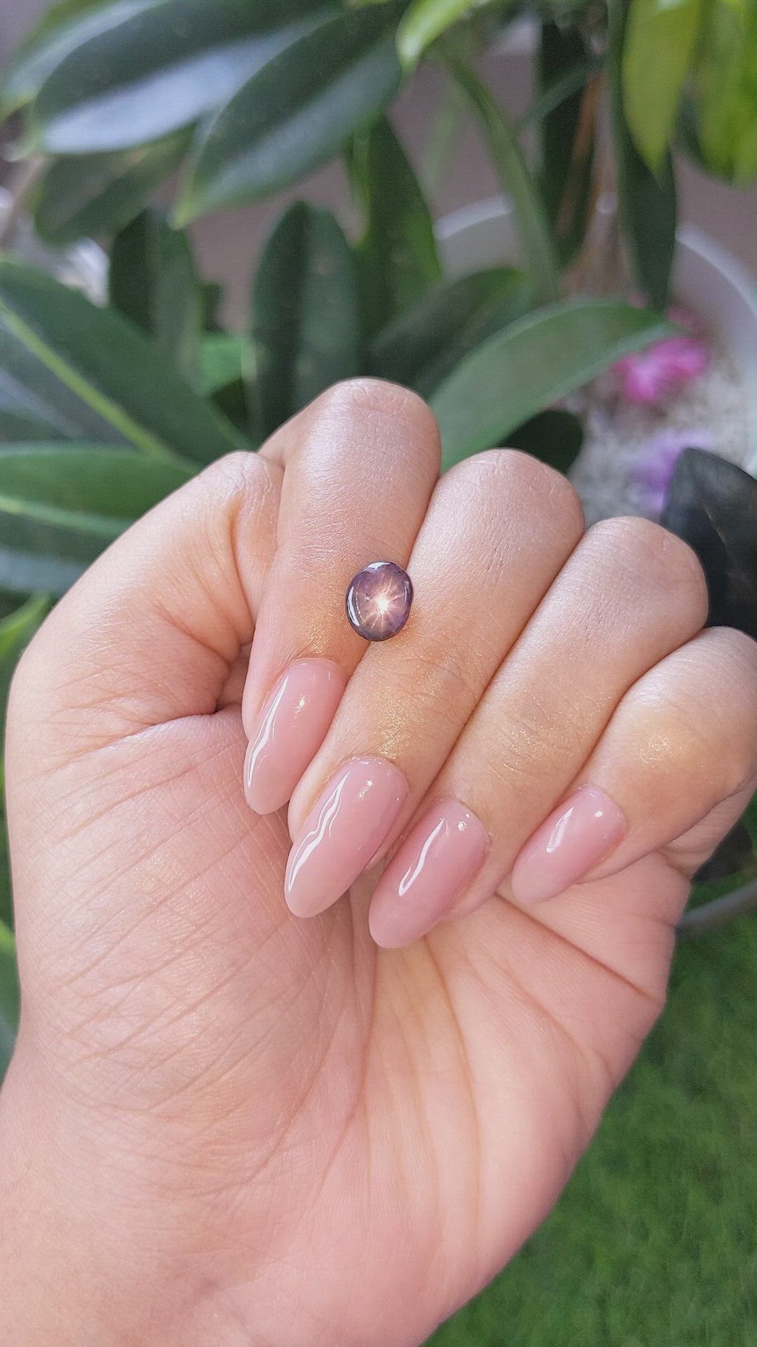 2.41 Ct. Purplish Pink Star Sapphire from Ceylon (Sri Lanka) Size Video