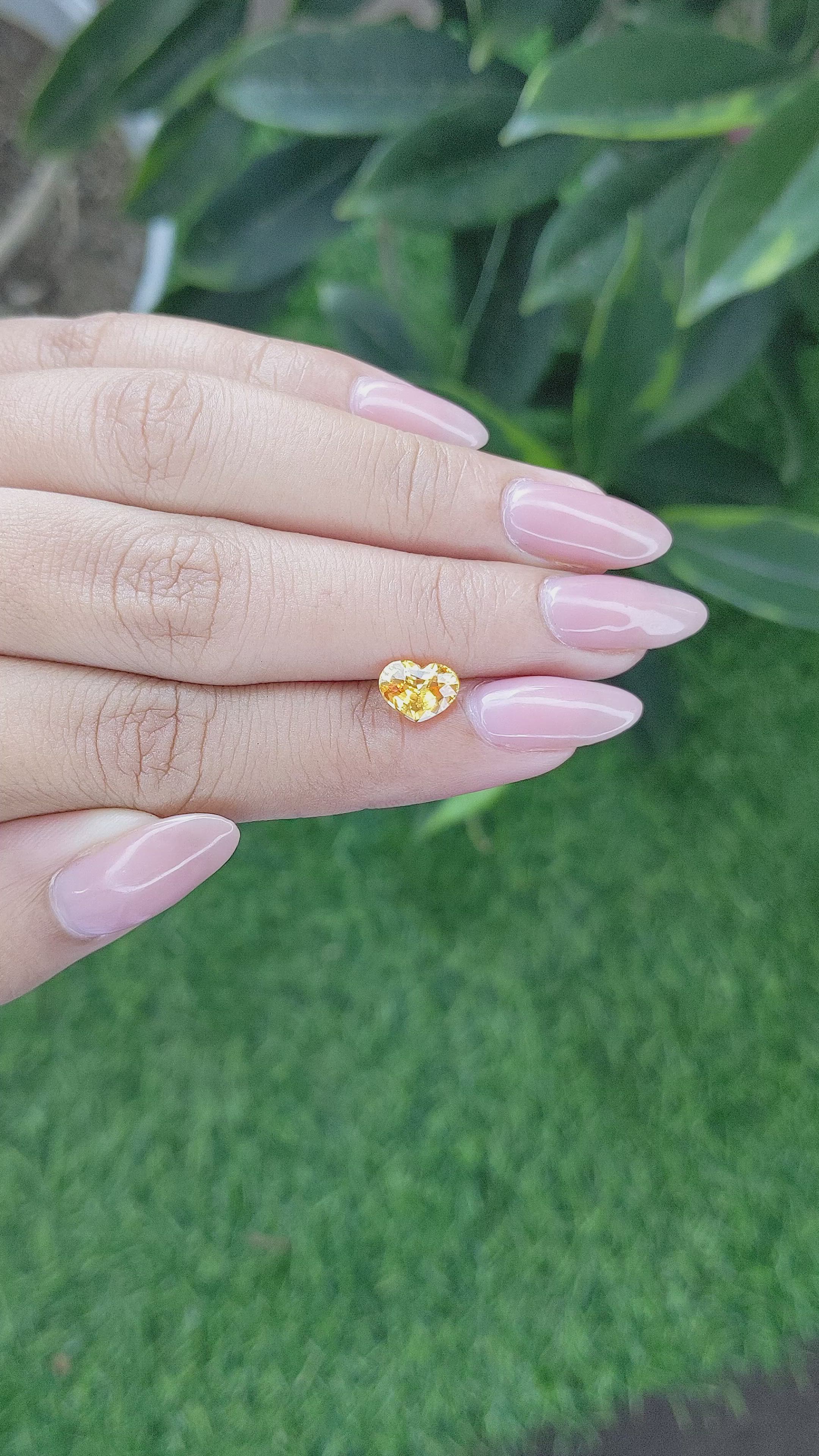 1.52 Ct. Orangish Yellow Sapphire from Africa Size Video