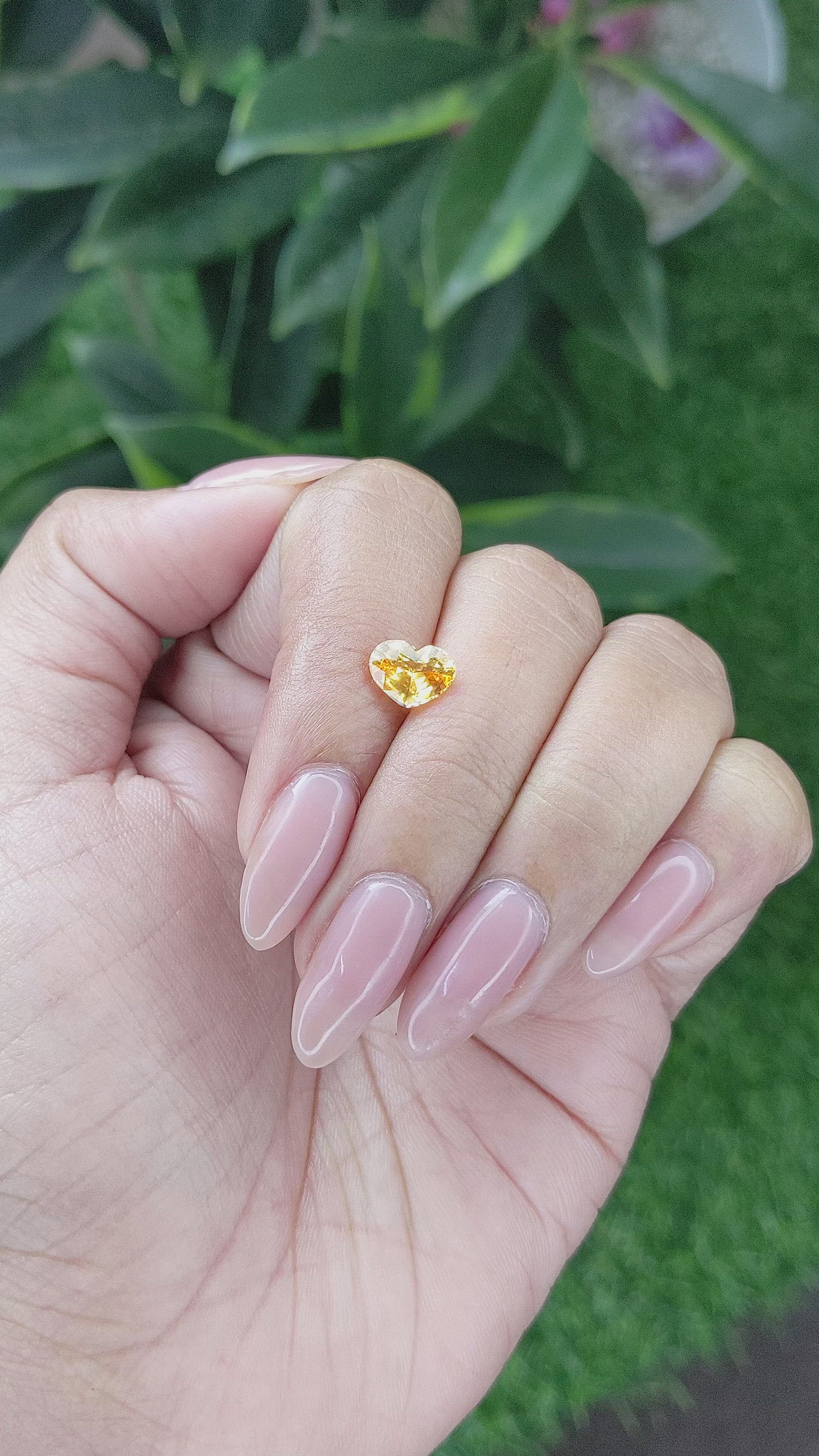 1.52 Ct. Orangish Yellow Sapphire from Africa Size Video