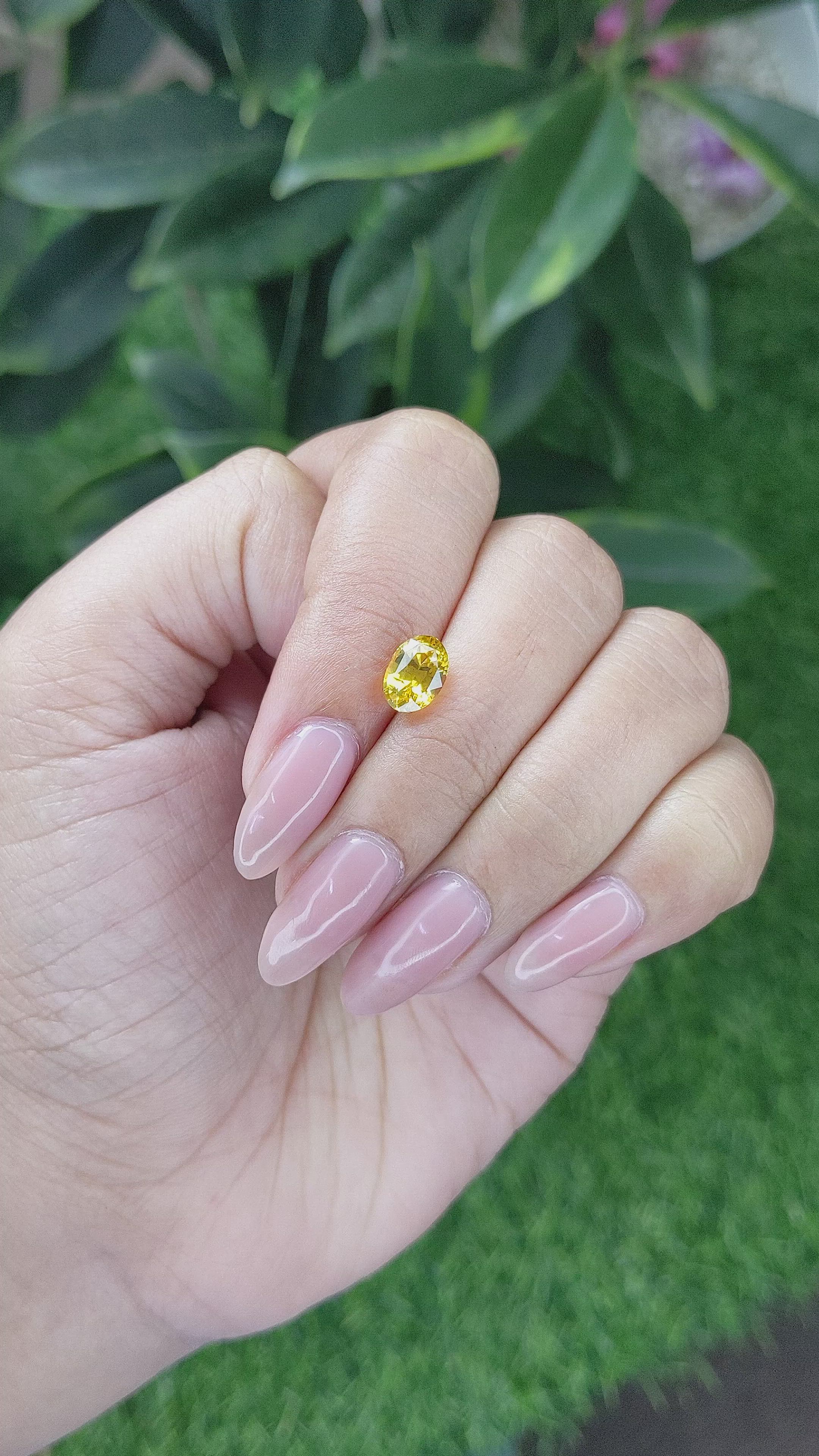 1.75 Ct. Yellow Sapphire from Africa Size Video
