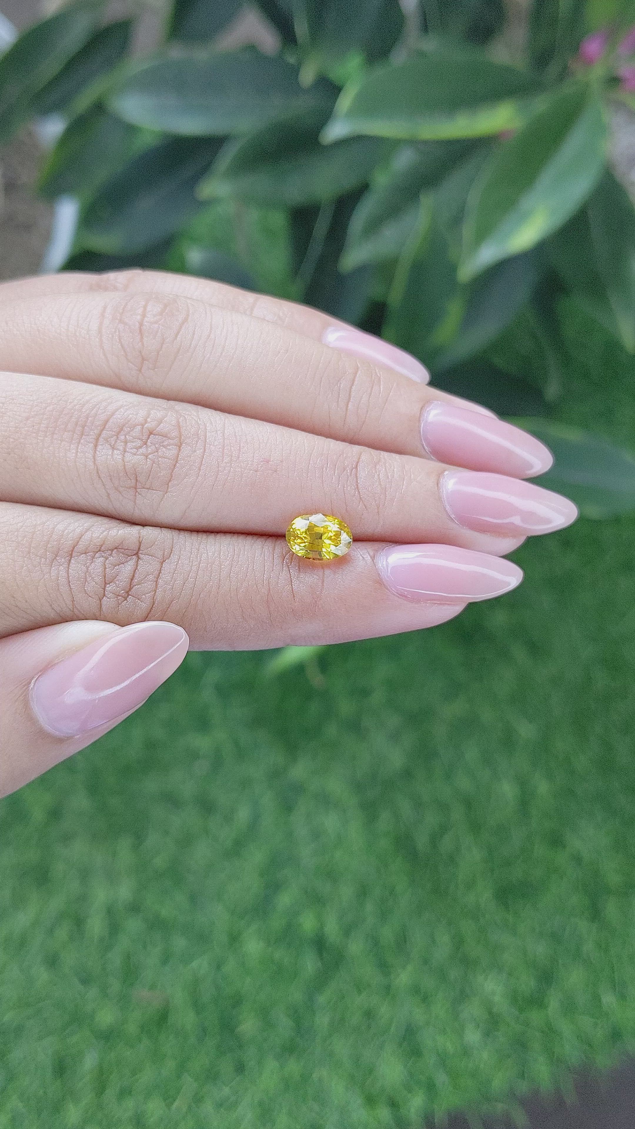 1.75 Ct. Yellow Sapphire from Africa Size Video