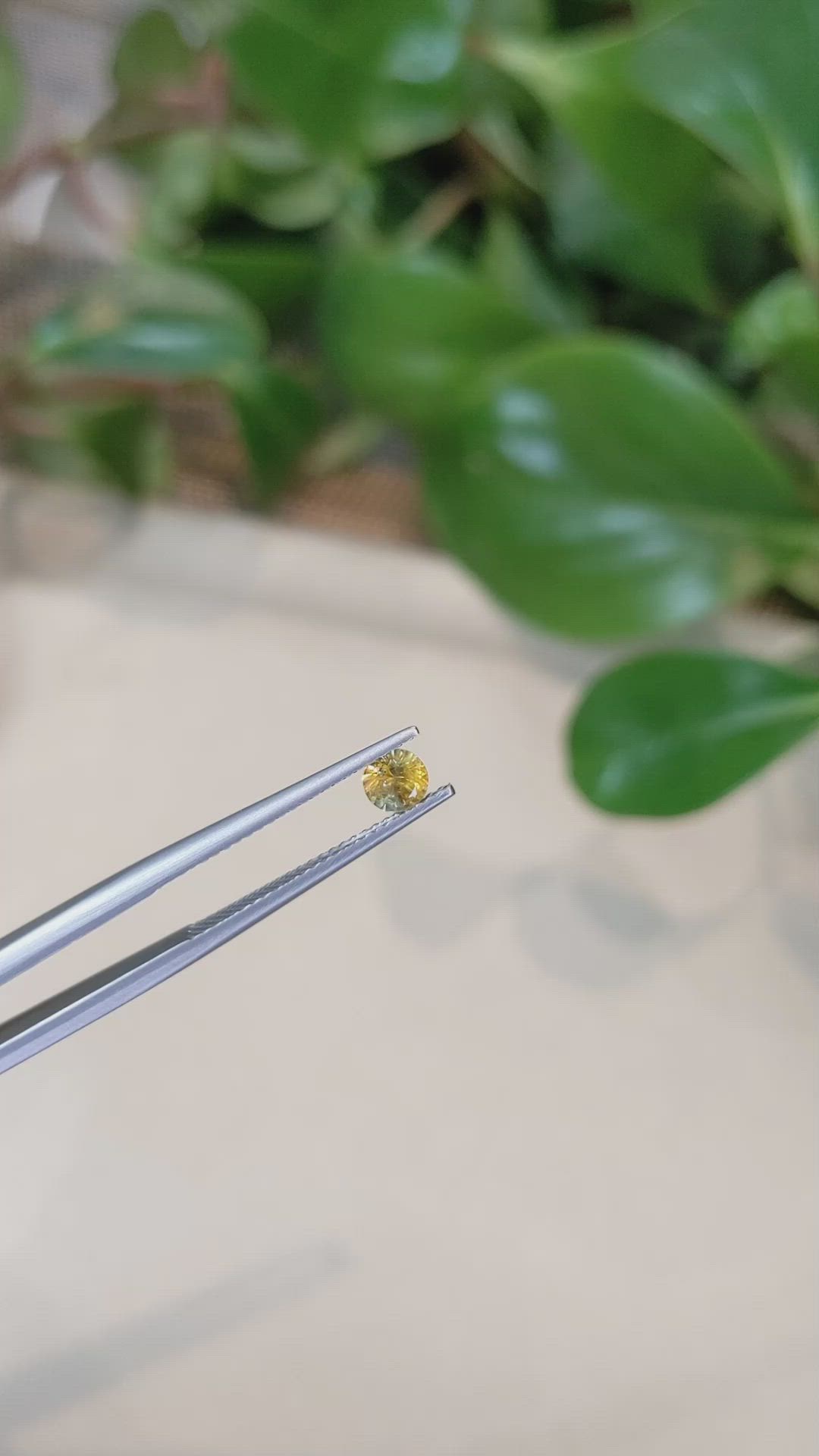 0.39 Ct. Bi Color Sapphire from Montana Size Video