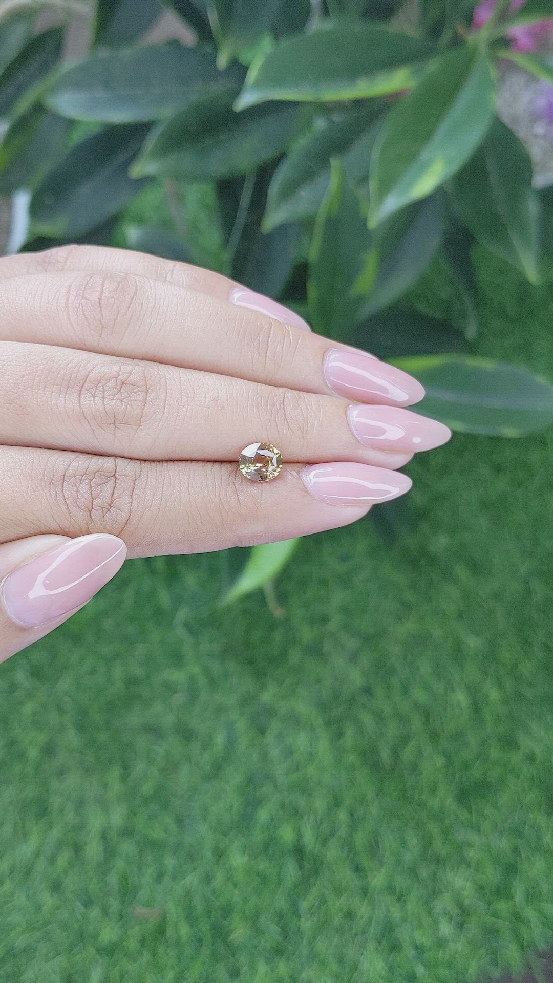 1.46 Ct. Greenish Yellow Sapphire from Tanzania Size Video